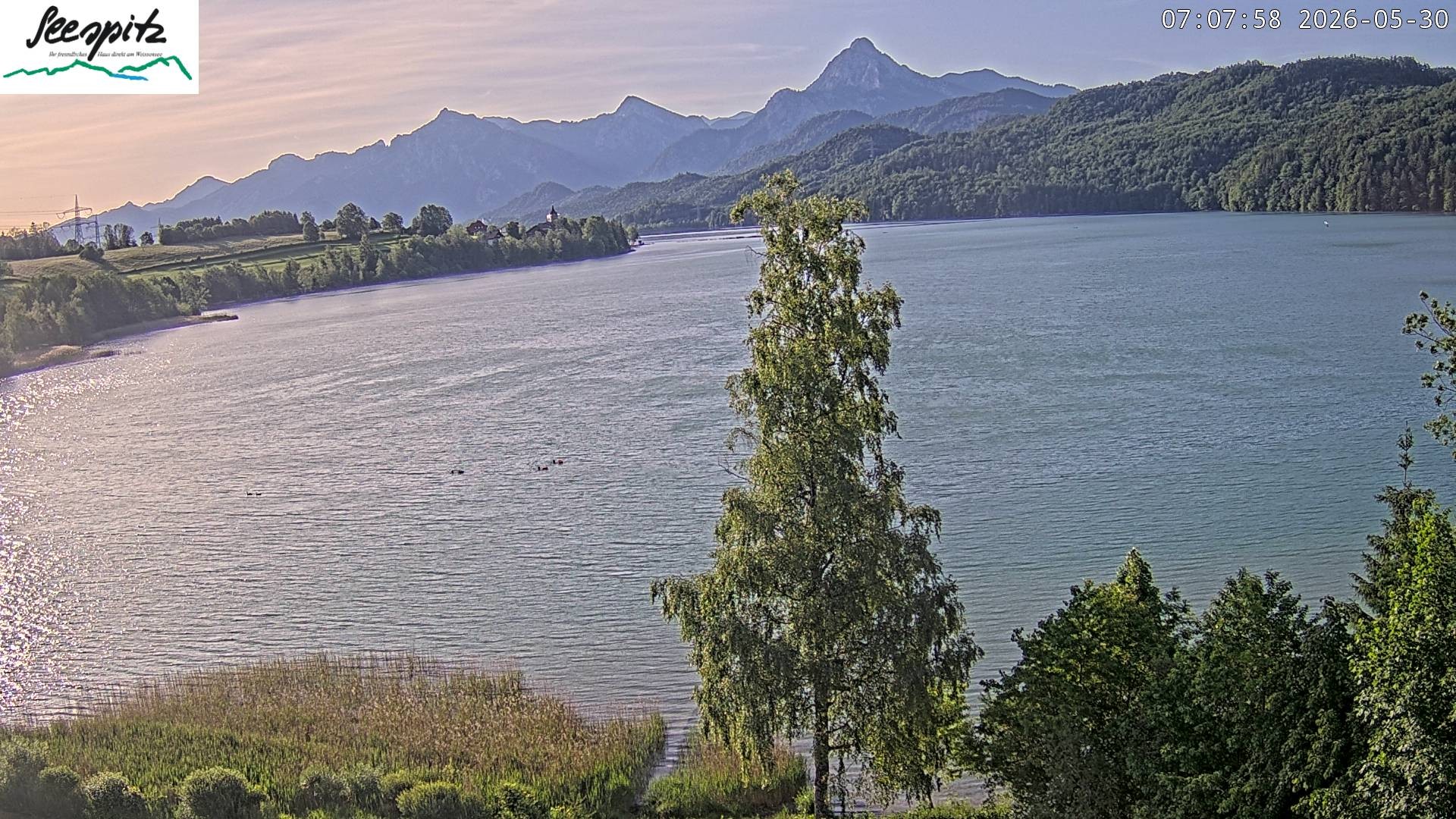 Archiv Foto Webcam Füssen: Blick auf den Weißensee vom Hotel Seespitz