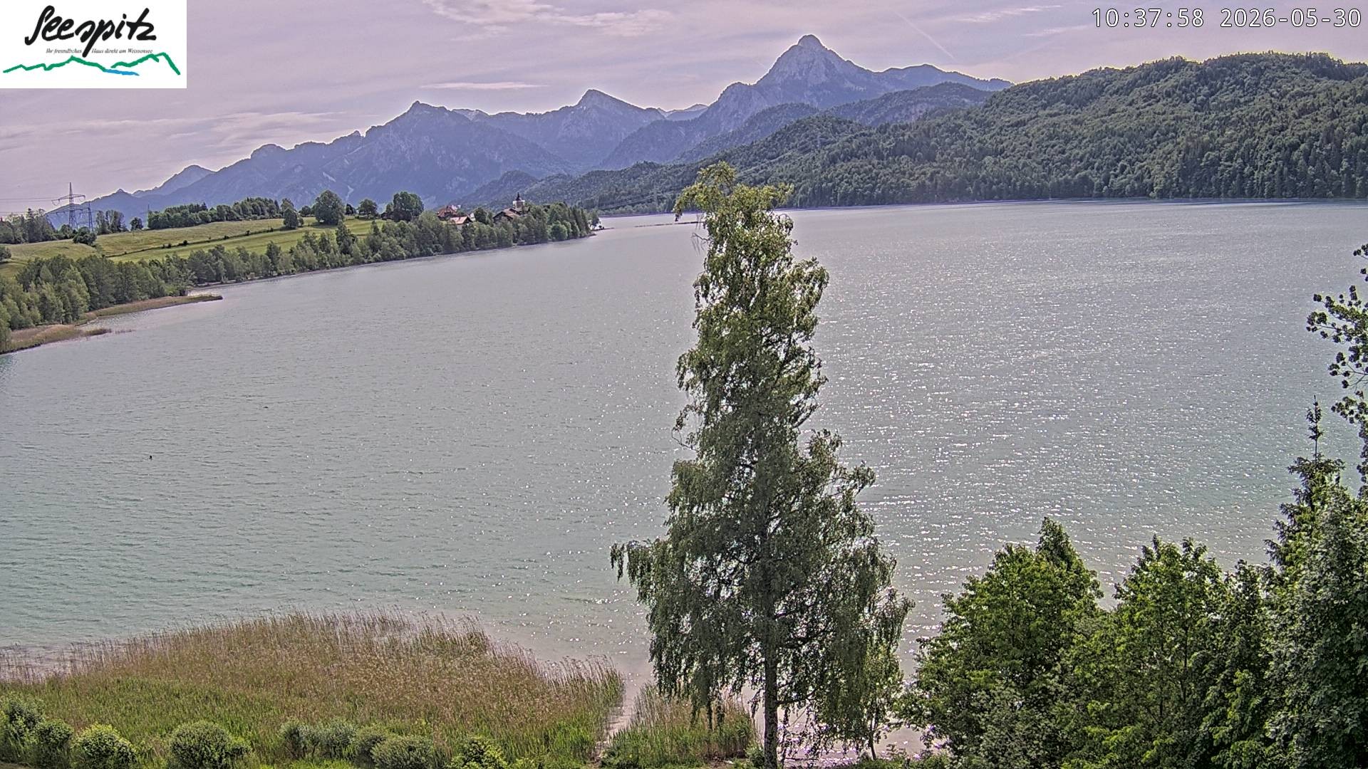 Archiv Foto Webcam Füssen: Blick auf den Weißensee vom Hotel Seespitz