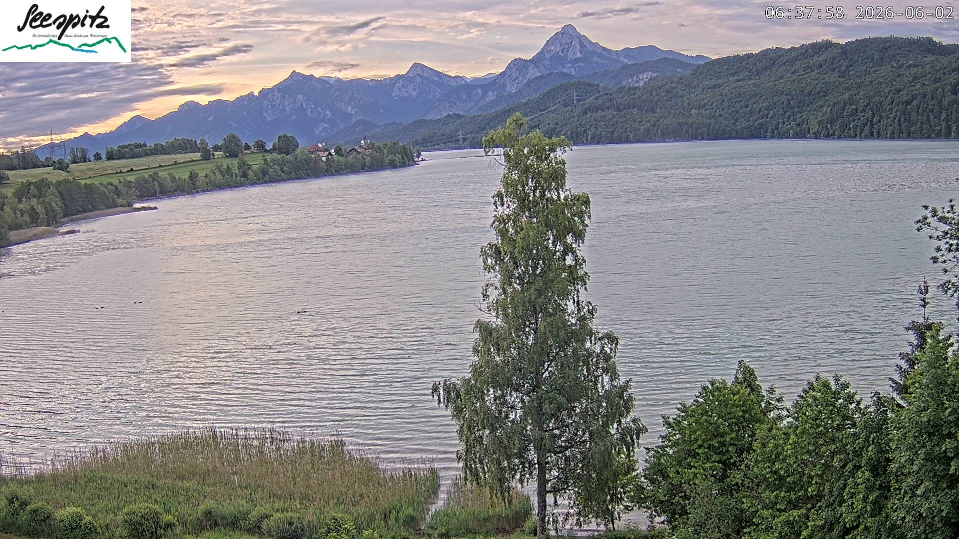 Archiv Foto Webcam Füssen: Blick auf den Weißensee vom Hotel Seespitz