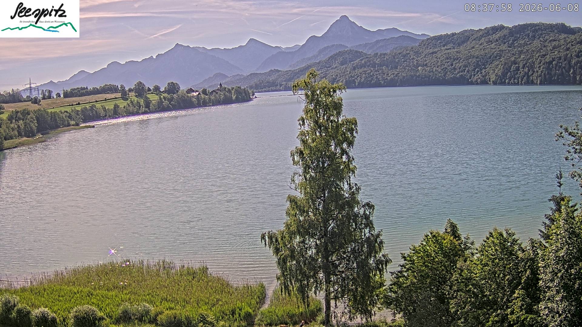 Archiv Foto Webcam Füssen: Blick auf den Weißensee vom Hotel Seespitz