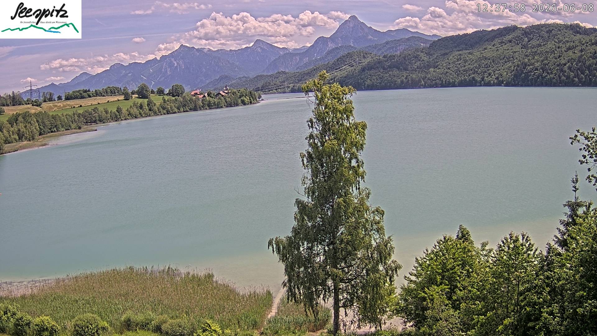 Archiv Foto Webcam Füssen: Blick auf den Weißensee vom Hotel Seespitz