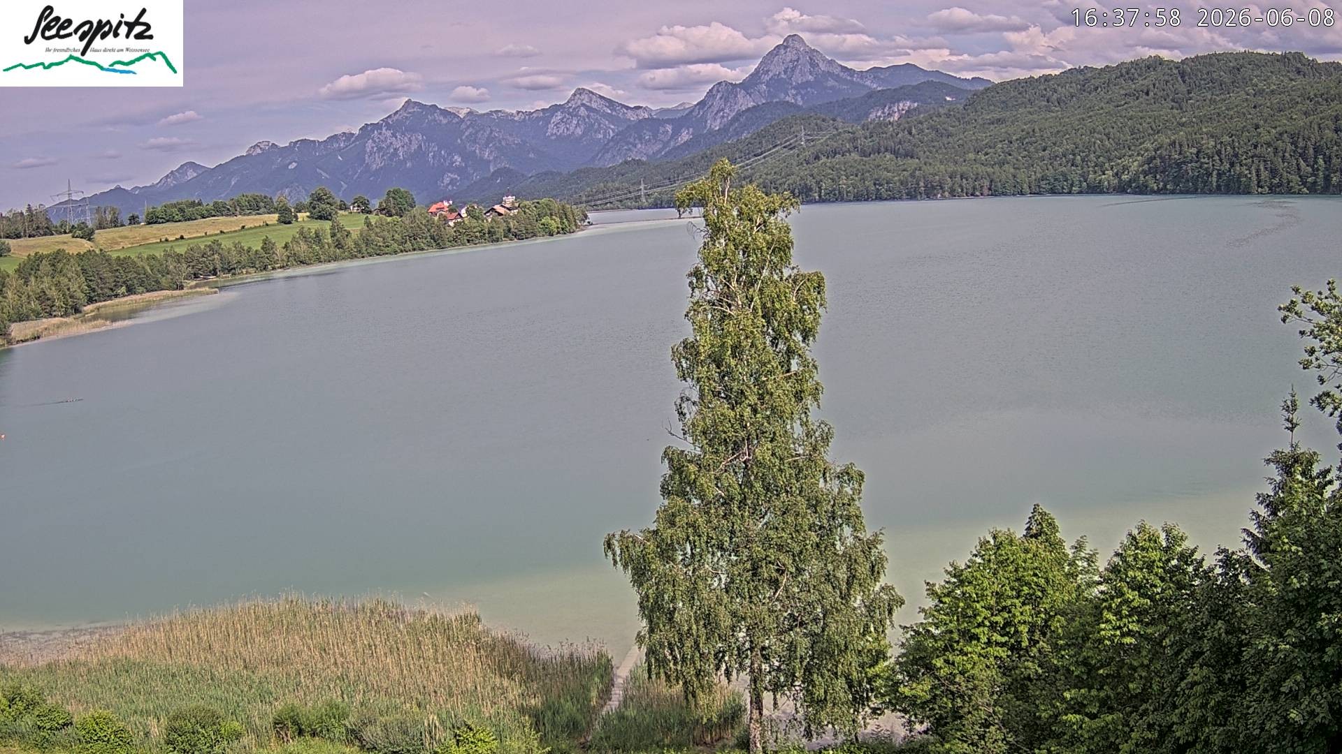 Archiv Foto Webcam Füssen: Blick auf den Weißensee vom Hotel Seespitz