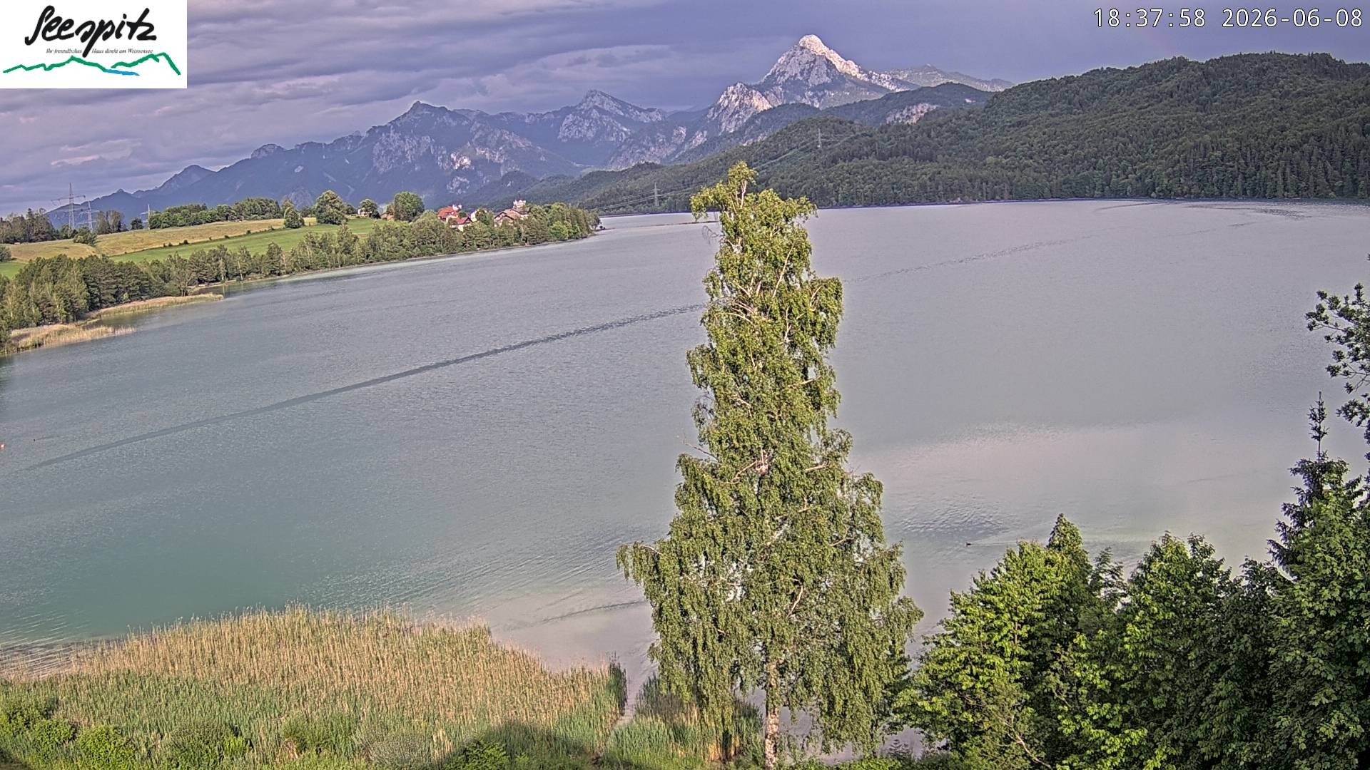 Archiv Foto Webcam Füssen: Blick auf den Weißensee vom Hotel Seespitz