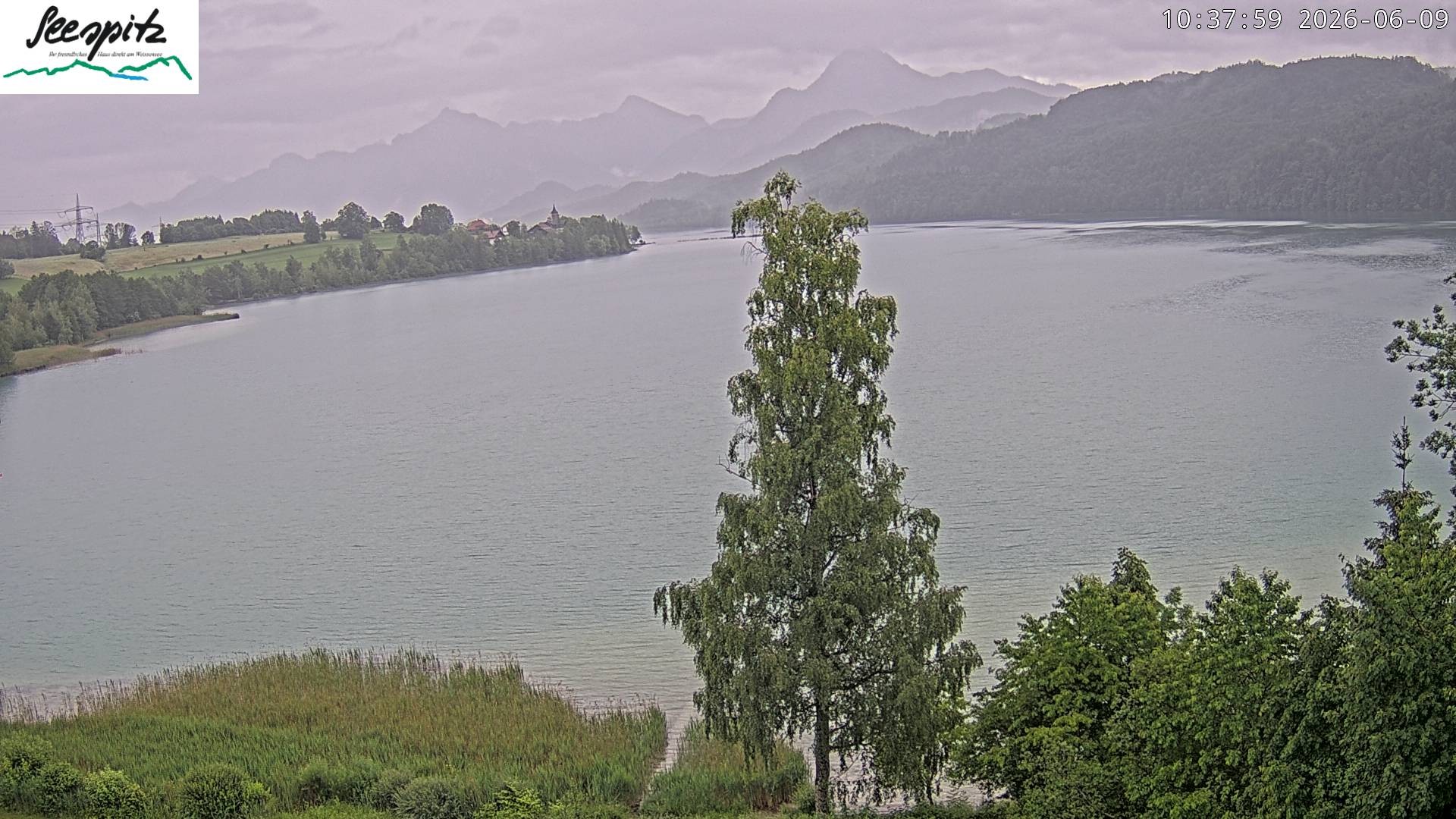 Archived image Webcam Weissensee near Füssen