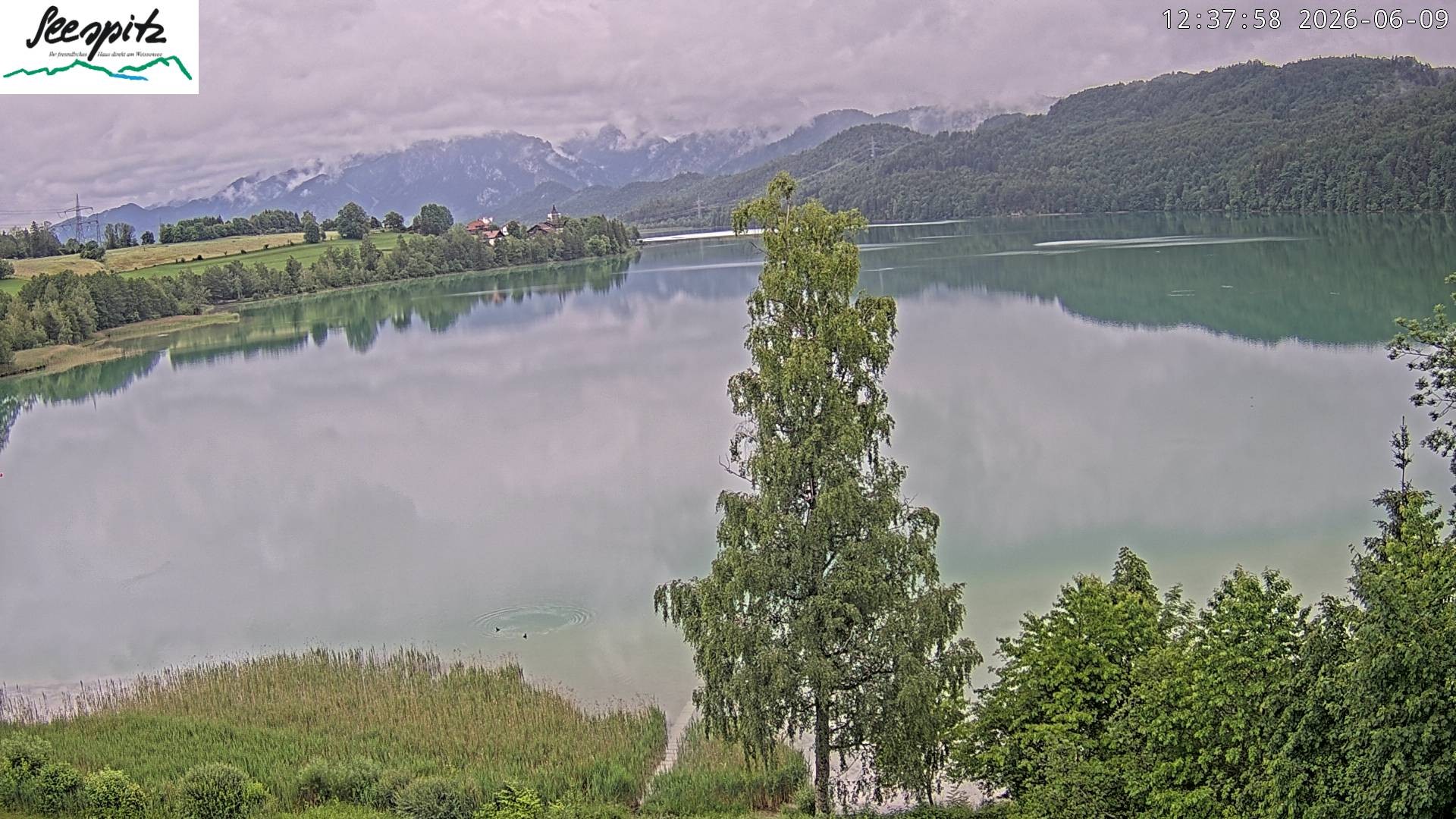 Archived image Webcam Weissensee near Füssen