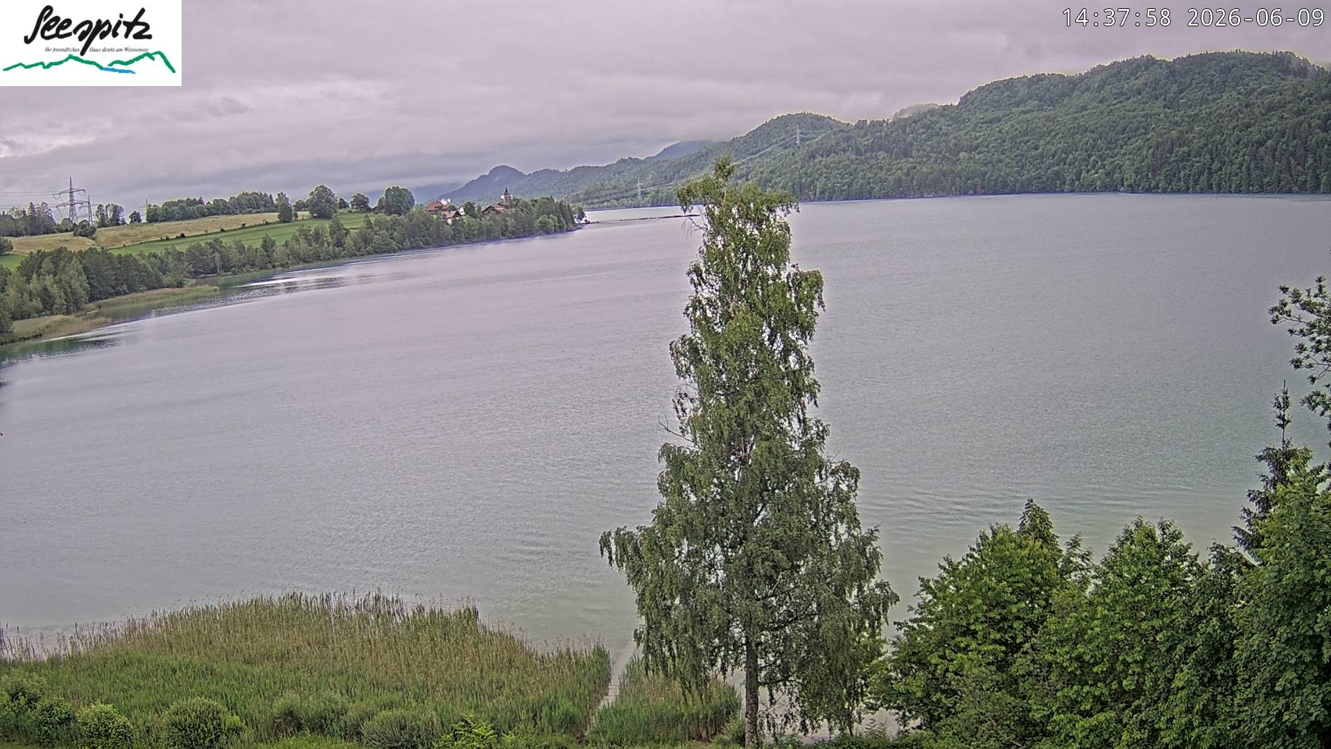 Archived image Webcam Weissensee near Füssen