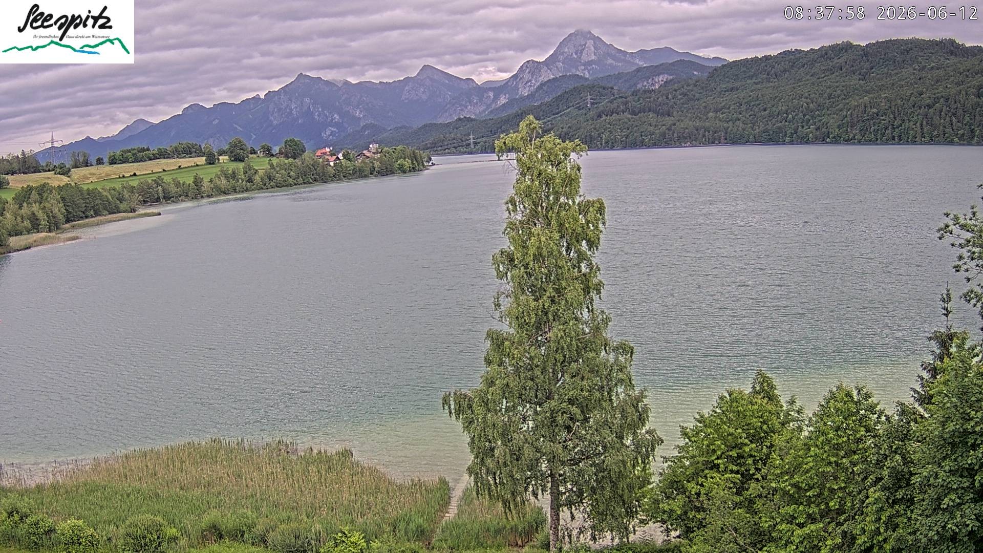 Archived image Webcam Weissensee near Füssen