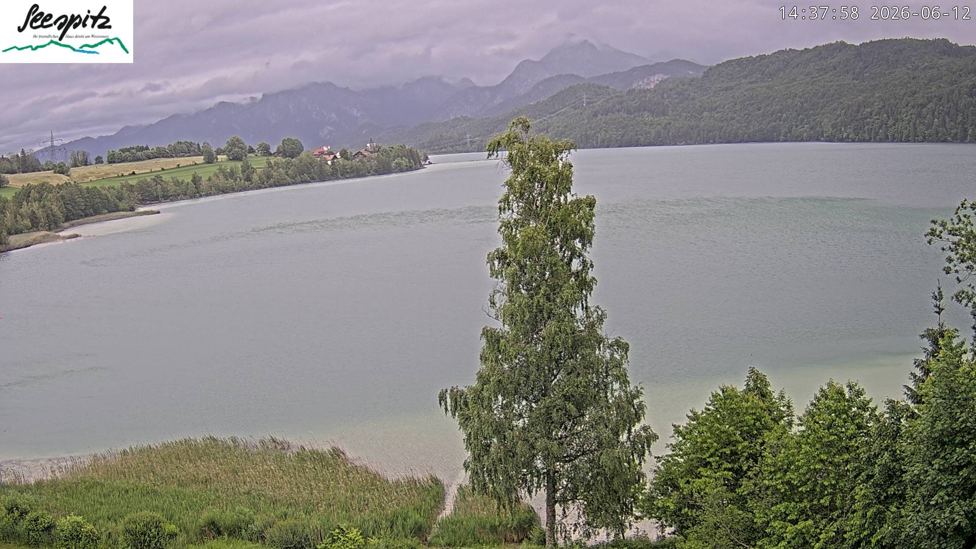 Archived image Webcam Weissensee near Füssen