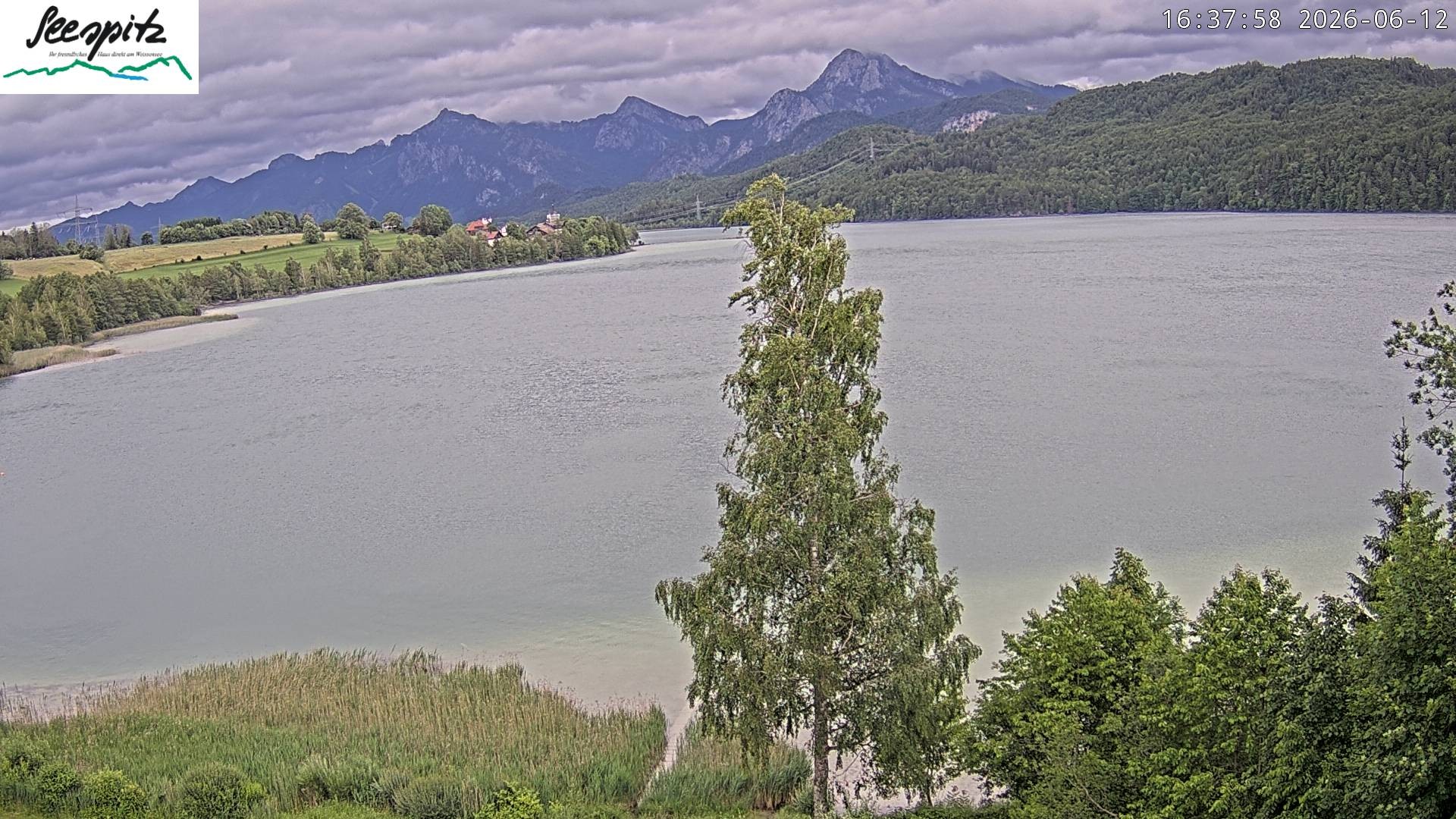 Archived image Webcam Weissensee near Füssen
