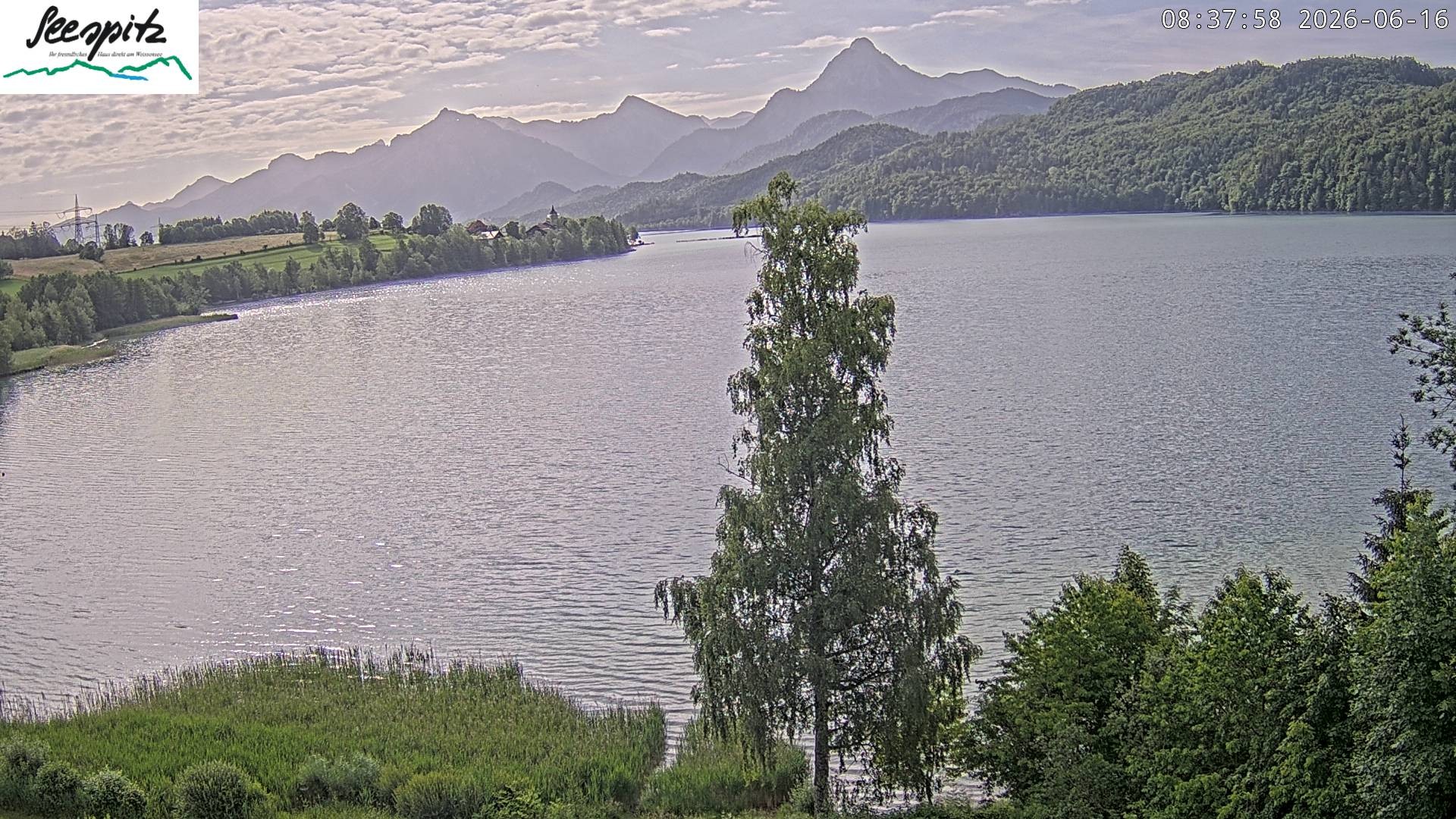 Archiv Foto Webcam Füssen: Blick auf den Weißensee vom Hotel Seespitz