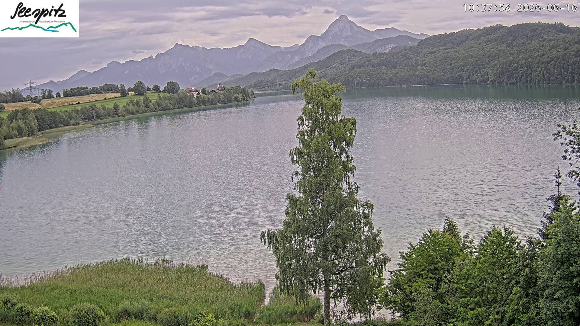 Archiv Foto Webcam Füssen: Blick auf den Weißensee vom Hotel Seespitz