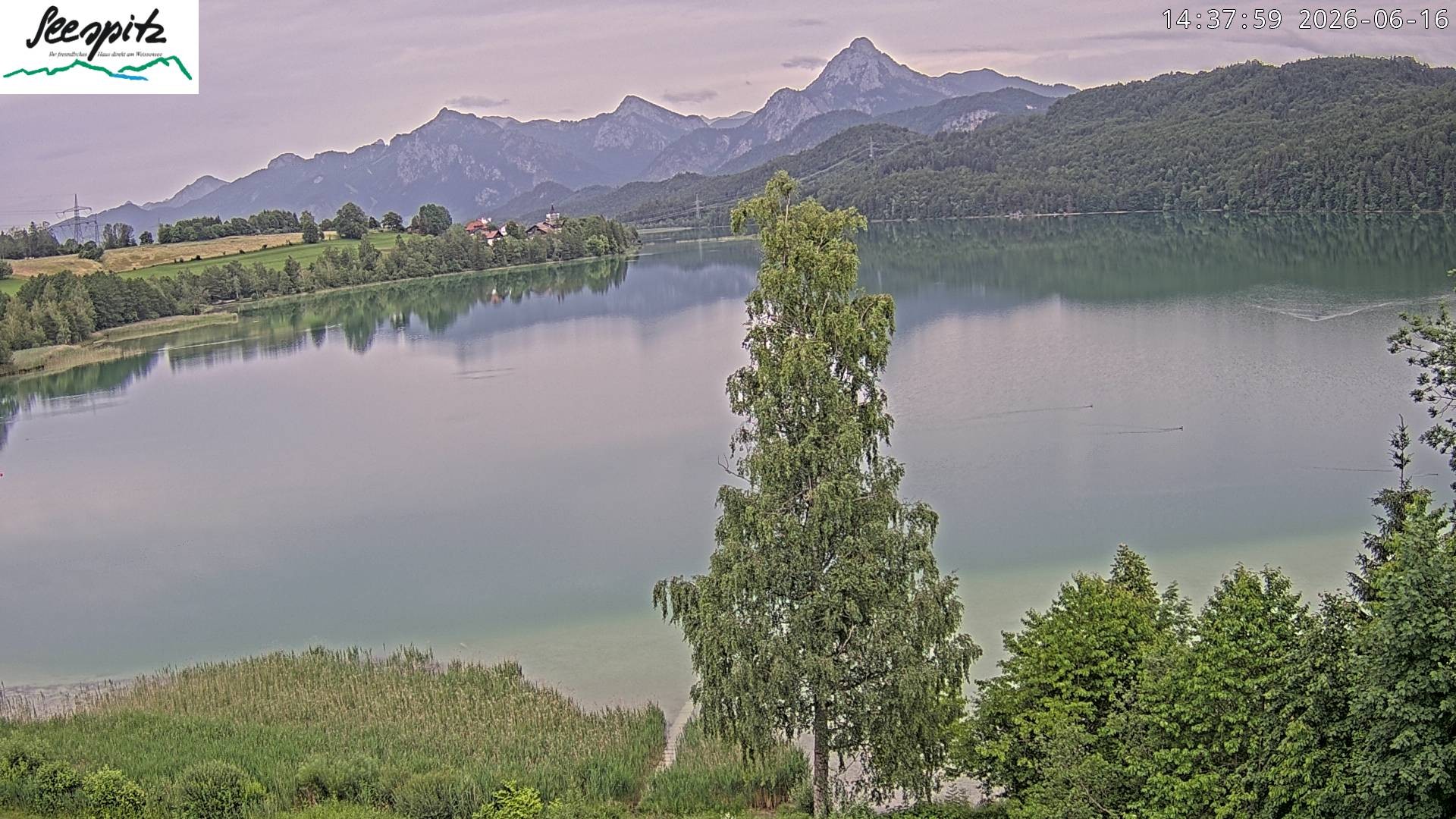 Archiv Foto Webcam Füssen: Blick auf den Weißensee vom Hotel Seespitz