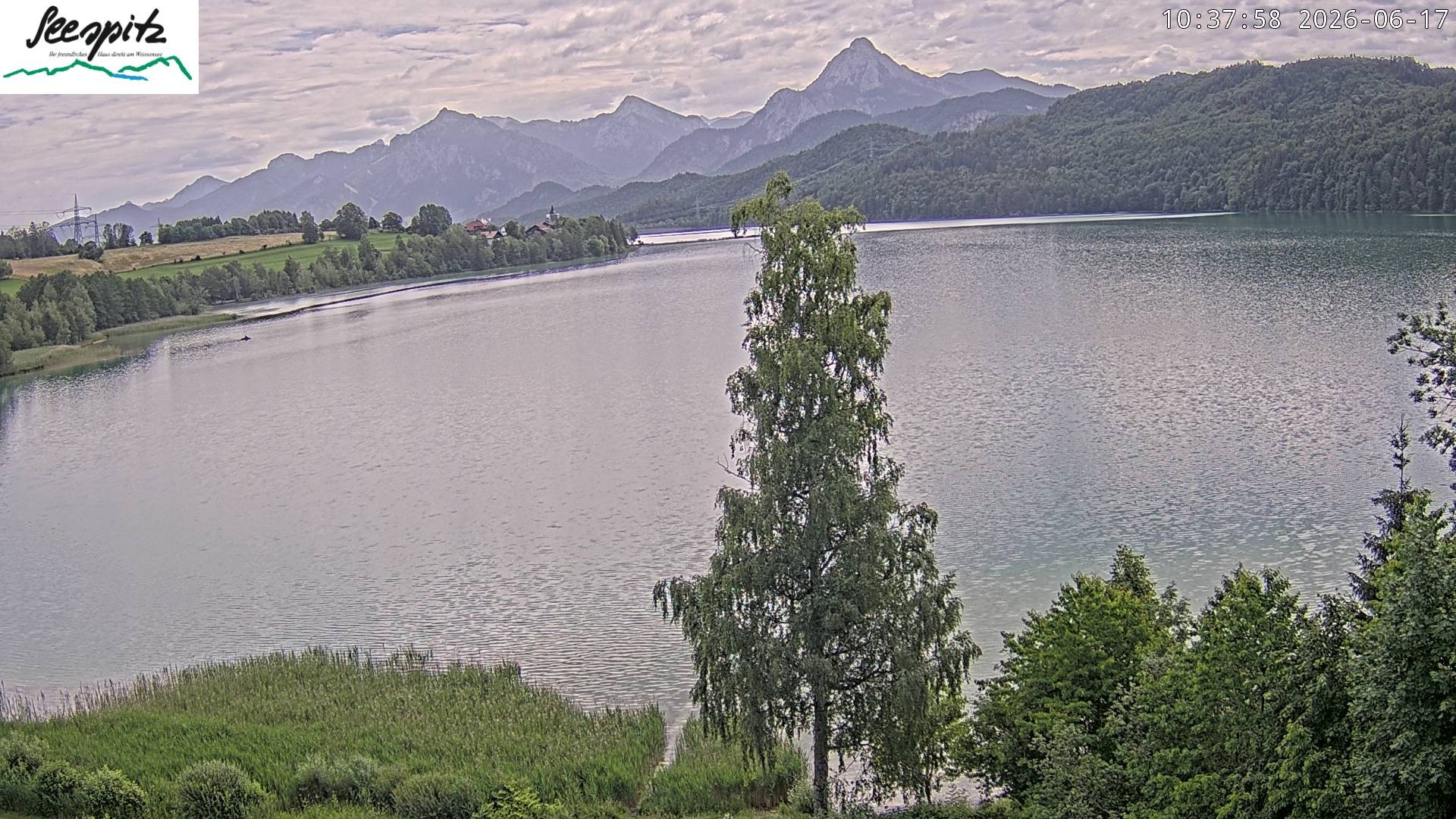Archiv Foto Webcam Füssen: Blick auf den Weißensee vom Hotel Seespitz
