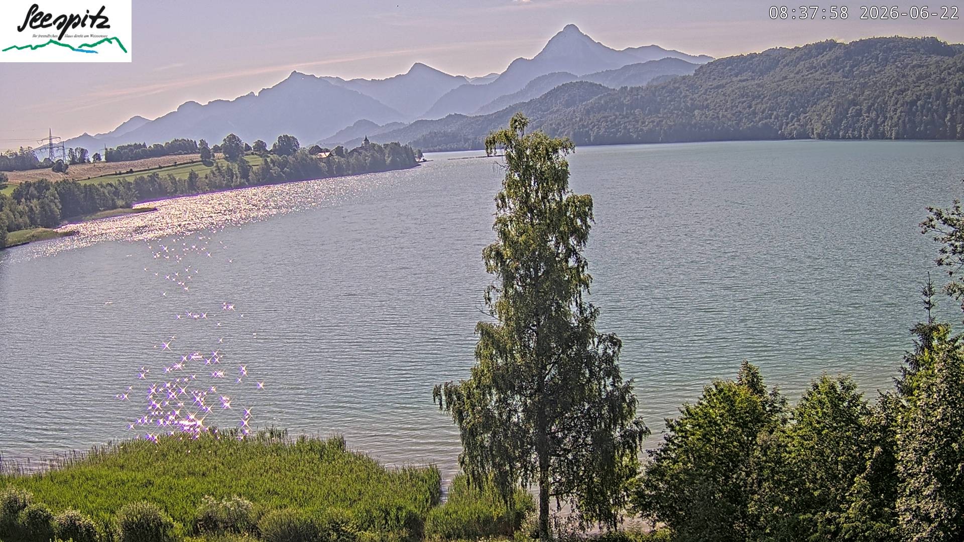 Archiv Foto Webcam Füssen: Blick auf den Weißensee vom Hotel Seespitz