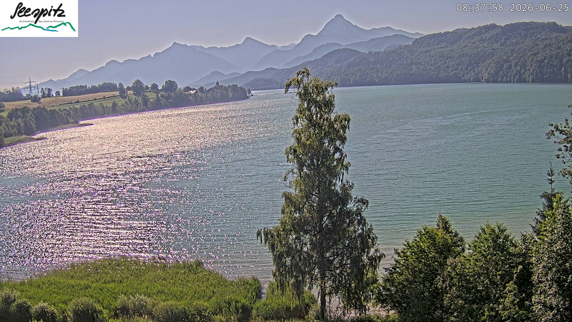 Archiv Foto Webcam Füssen: Blick auf den Weißensee vom Hotel Seespitz