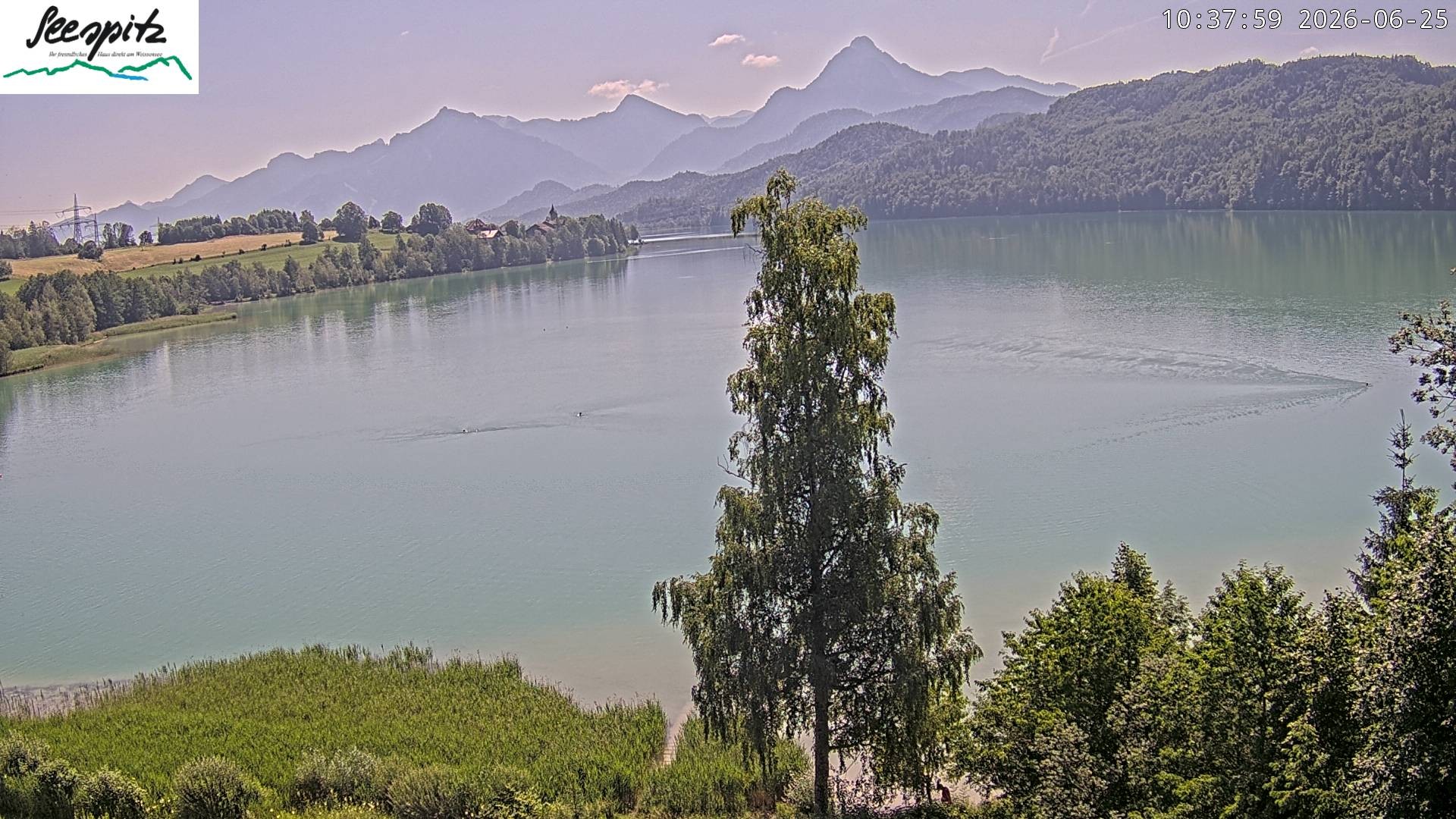 Archiv Foto Webcam Füssen: Blick auf den Weißensee vom Hotel Seespitz
