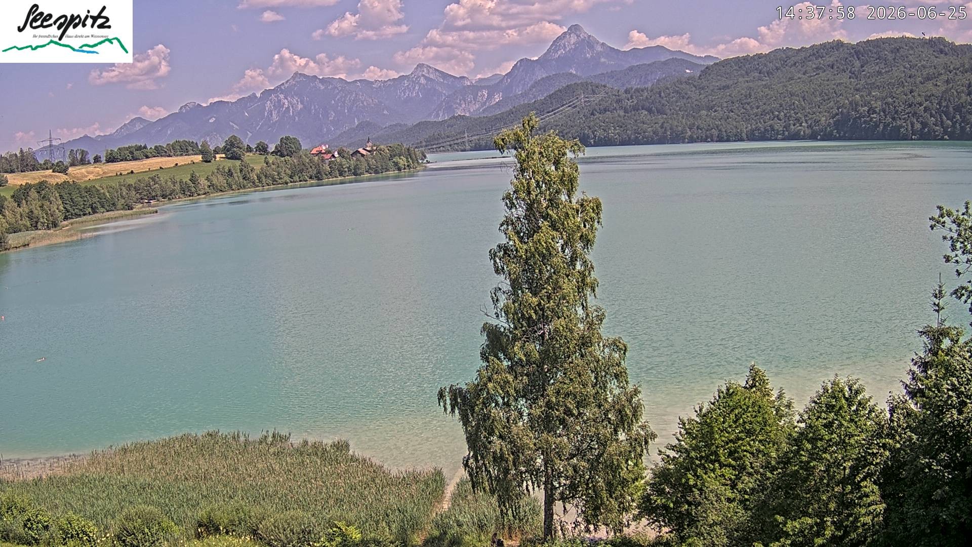 Archiv Foto Webcam Füssen: Blick auf den Weißensee vom Hotel Seespitz
