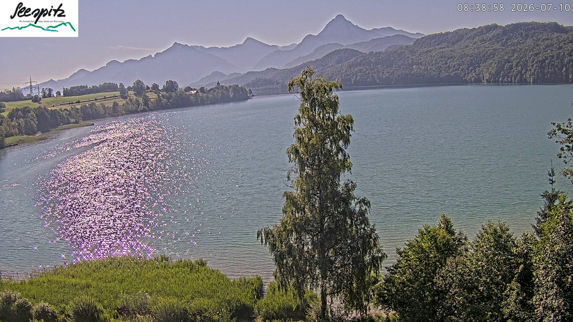 Archiv Foto Webcam Füssen: Blick auf den Weißensee vom Hotel Seespitz