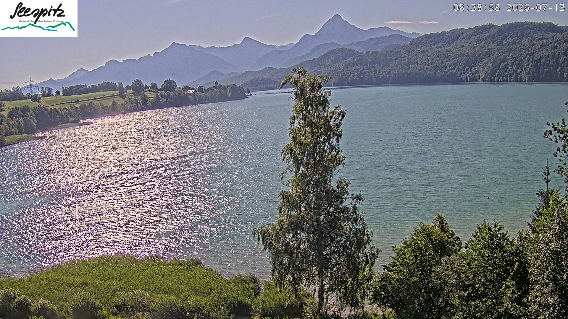 Archiv Foto Webcam Füssen: Blick auf den Weißensee vom Hotel Seespitz