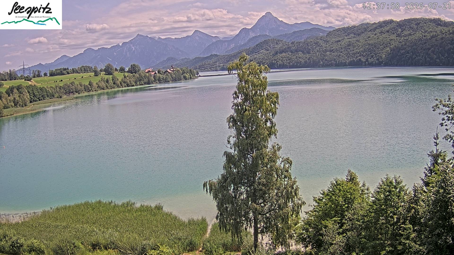 Archived image Webcam Weissensee near Füssen