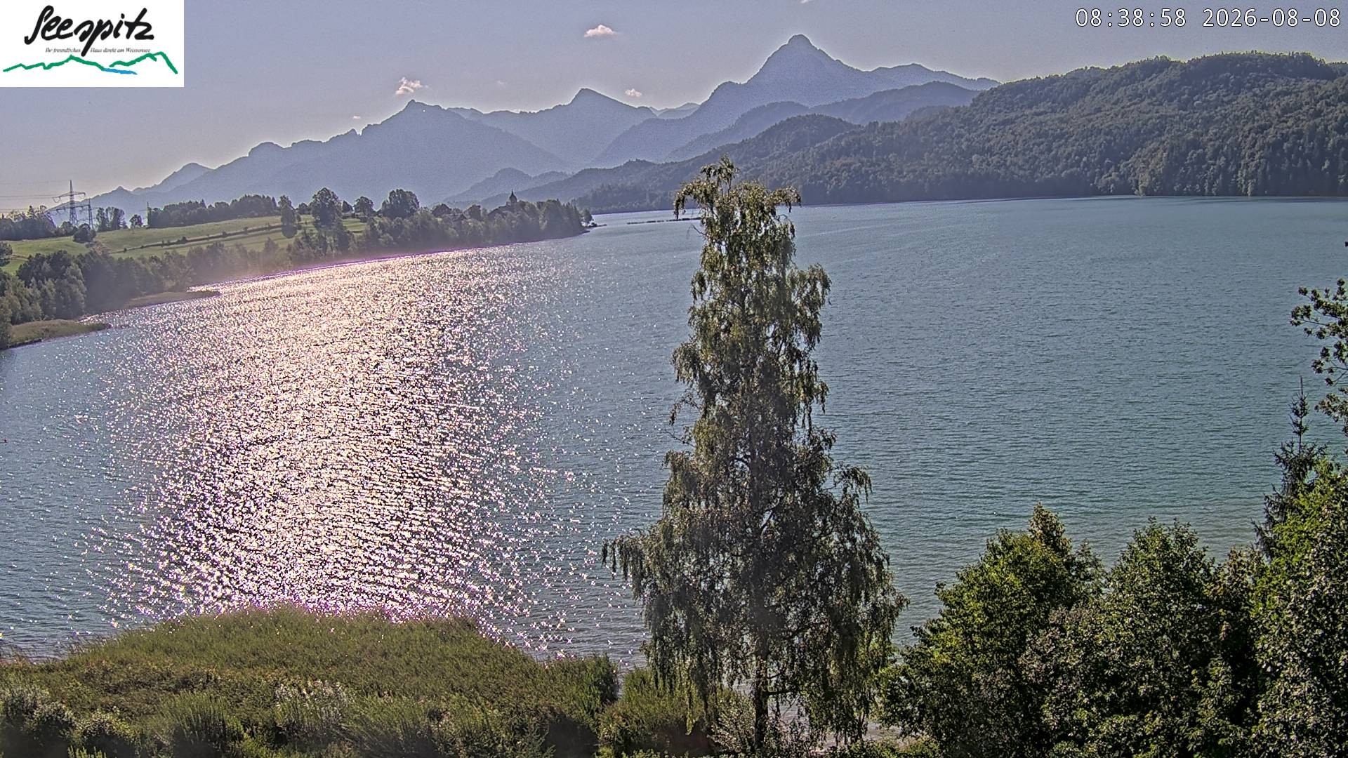 Archiv Foto Webcam Füssen: Blick auf den Weißensee vom Hotel Seespitz