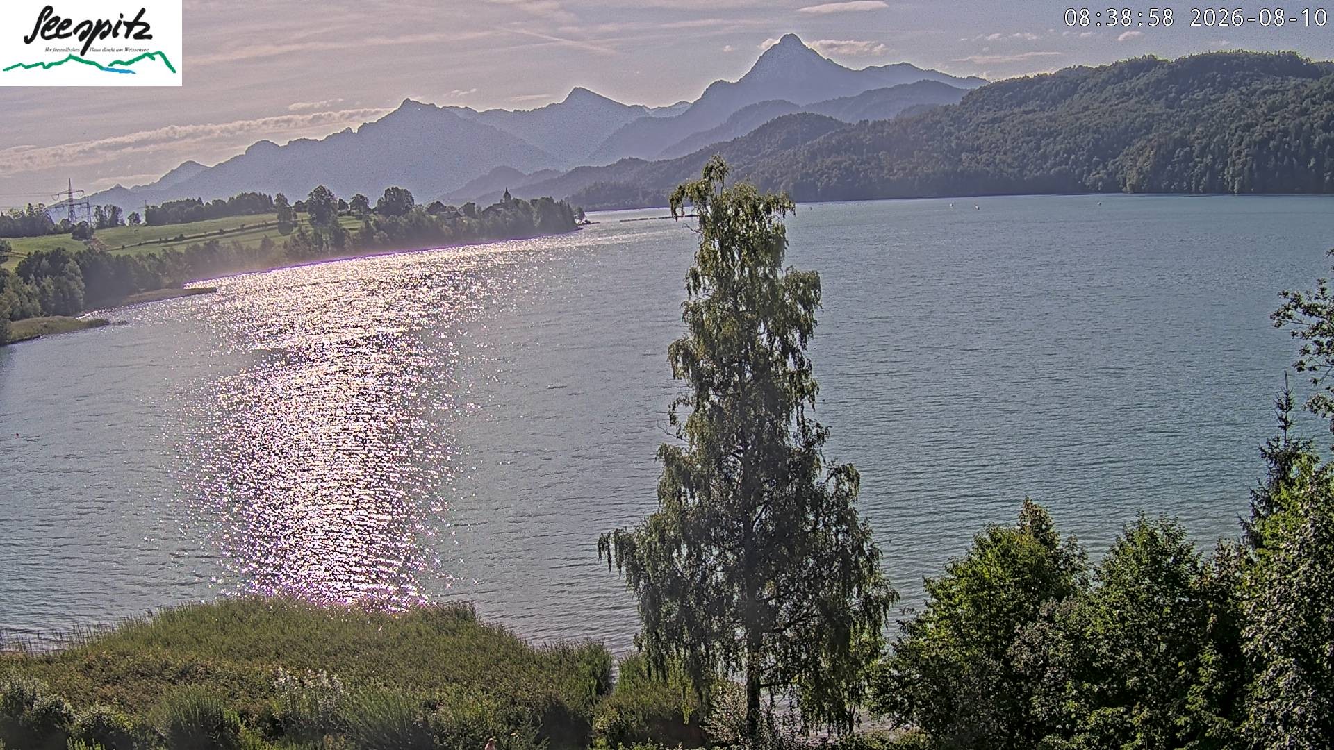 Archiv Foto Webcam Füssen: Blick auf den Weißensee vom Hotel Seespitz