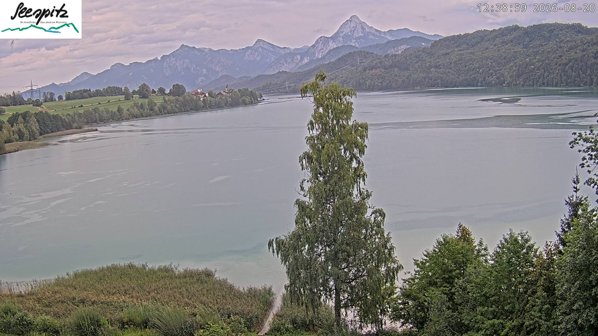 Archiv Foto Webcam Füssen: Blick auf den Weißensee vom Hotel Seespitz