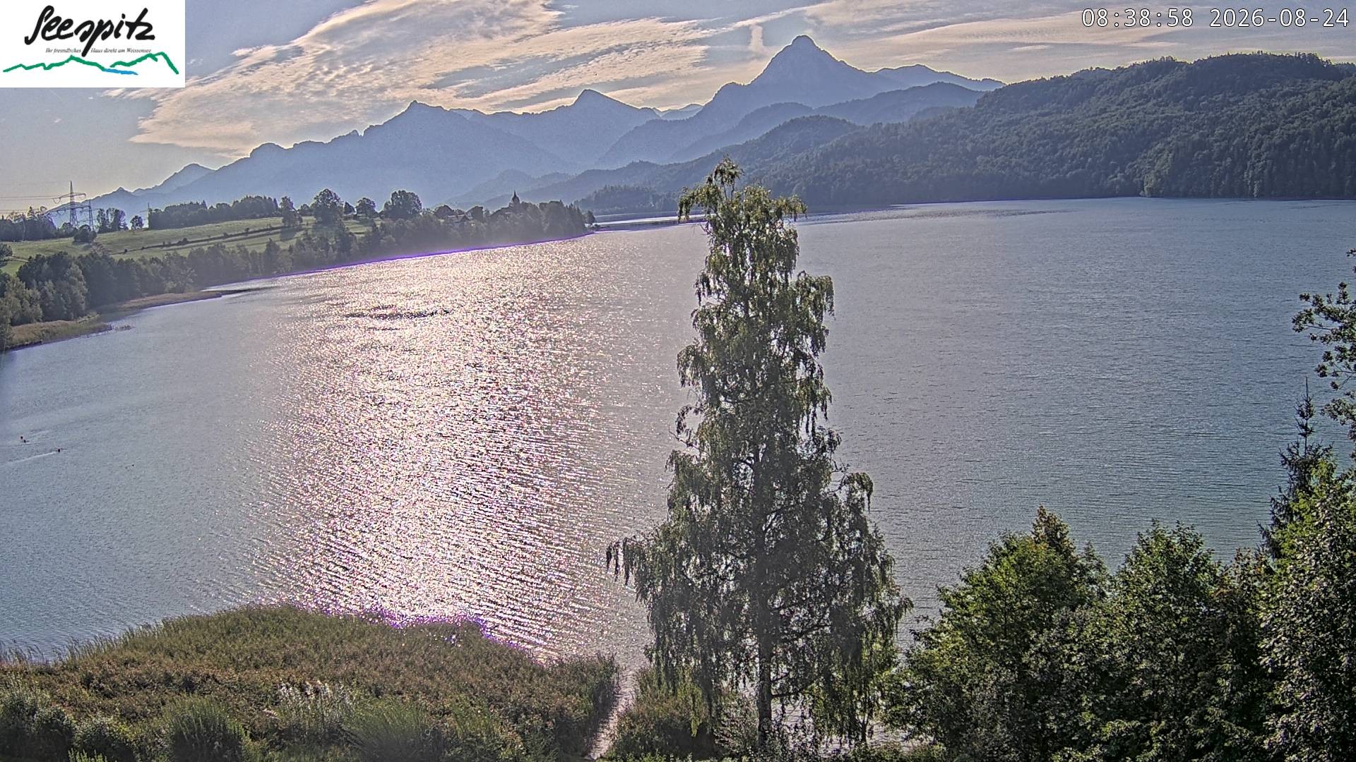 Archiv Foto Webcam Füssen: Blick auf den Weißensee vom Hotel Seespitz