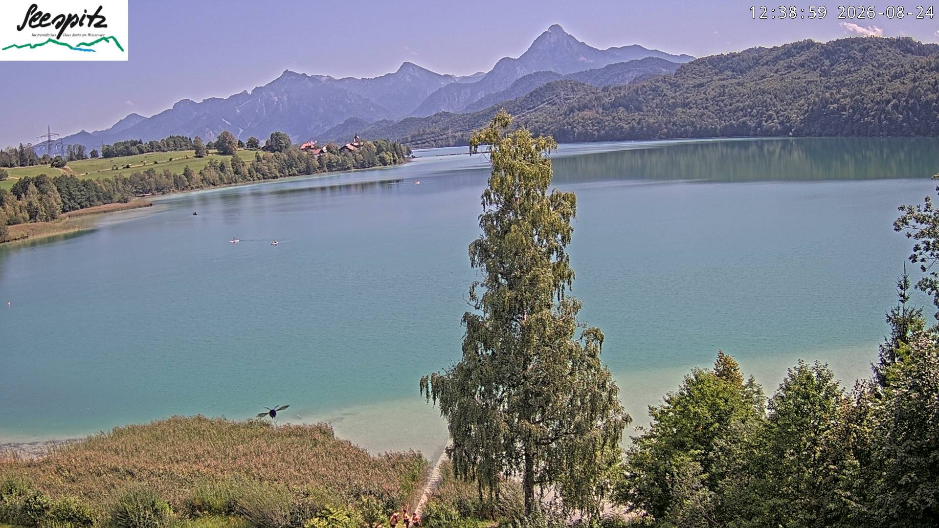 Archiv Foto Webcam Füssen: Blick auf den Weißensee vom Hotel Seespitz