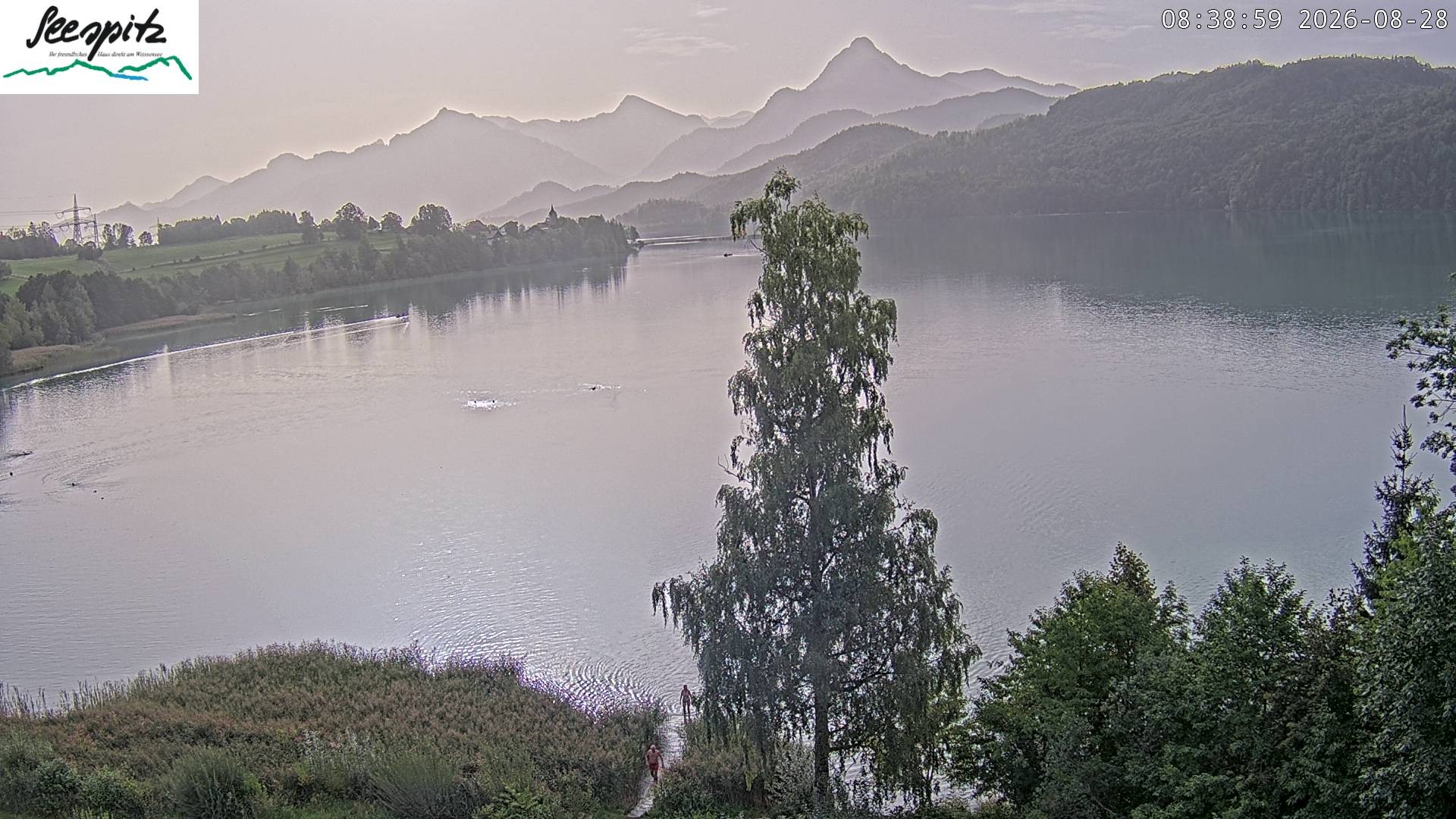 Archived image Webcam Weissensee near Füssen