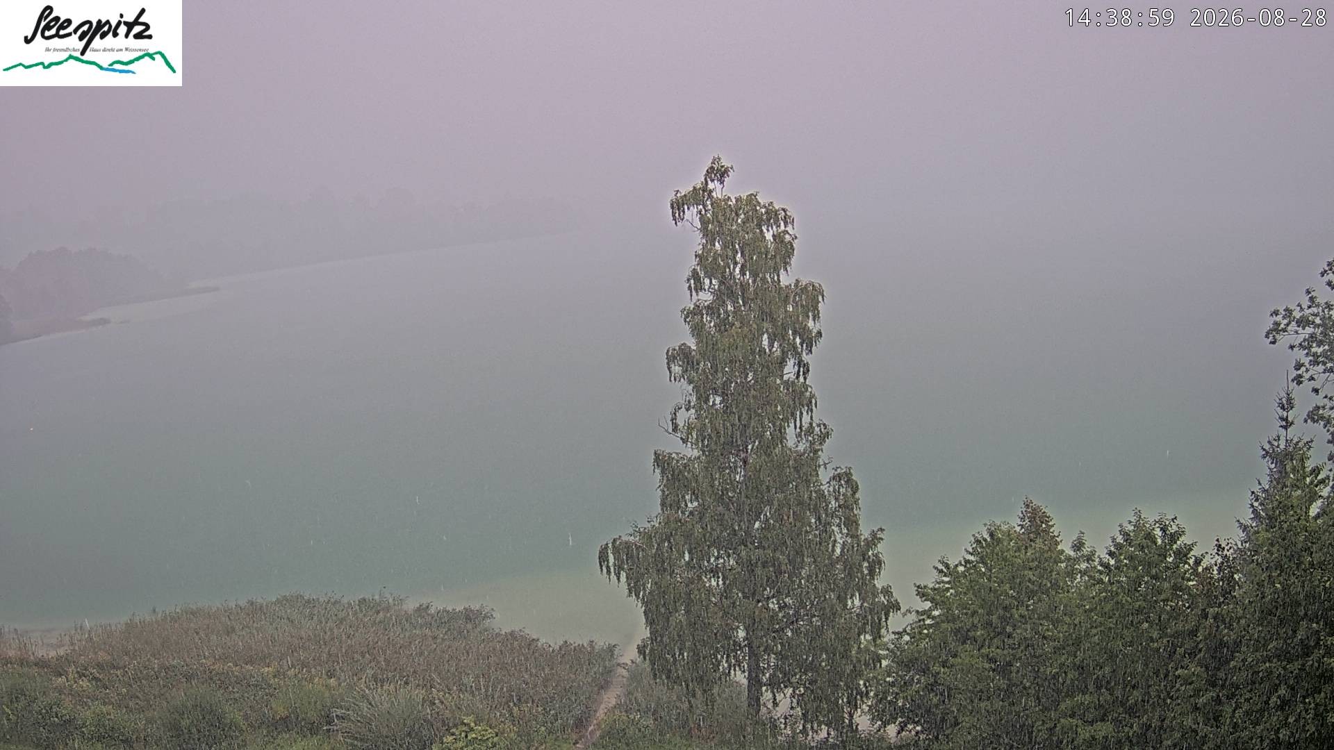 Archiv Foto Webcam Füssen: Blick auf den Weißensee vom Hotel Seespitz