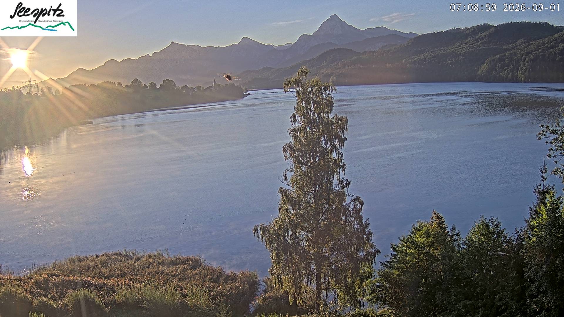 Archiv Foto Webcam Füssen: Blick auf den Weißensee vom Hotel Seespitz