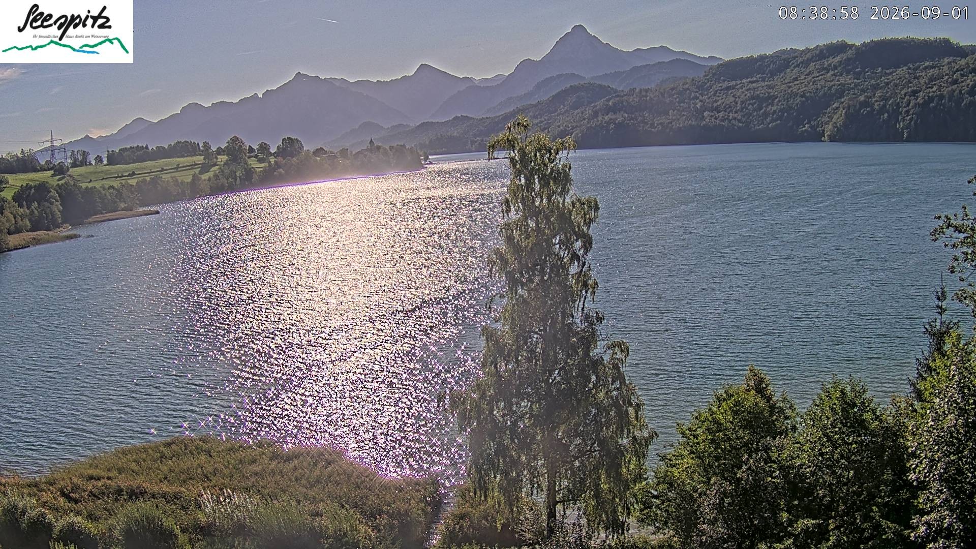 Archiv Foto Webcam Füssen: Blick auf den Weißensee vom Hotel Seespitz