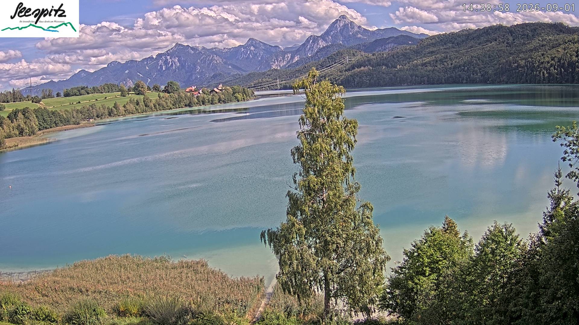 Archiv Foto Webcam Füssen: Blick auf den Weißensee vom Hotel Seespitz