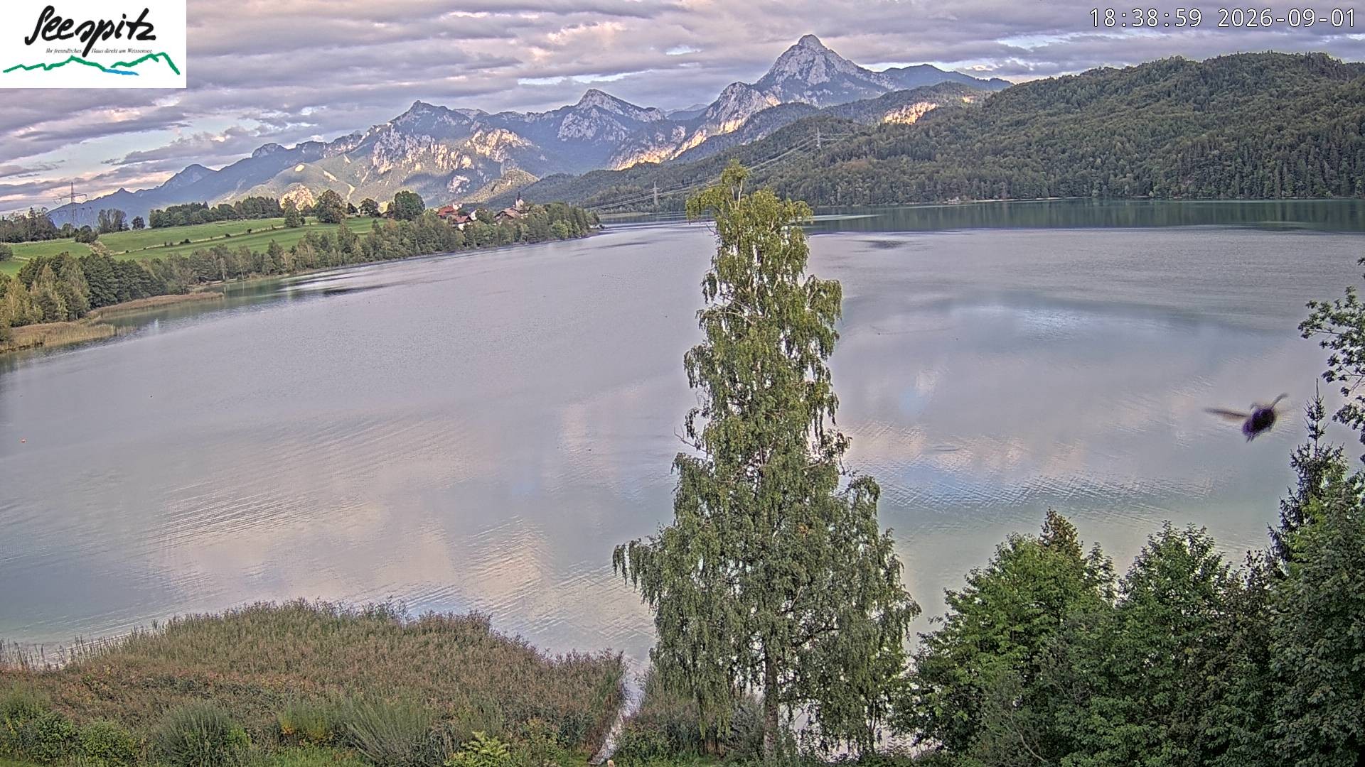 Archiv Foto Webcam Füssen: Blick auf den Weißensee vom Hotel Seespitz