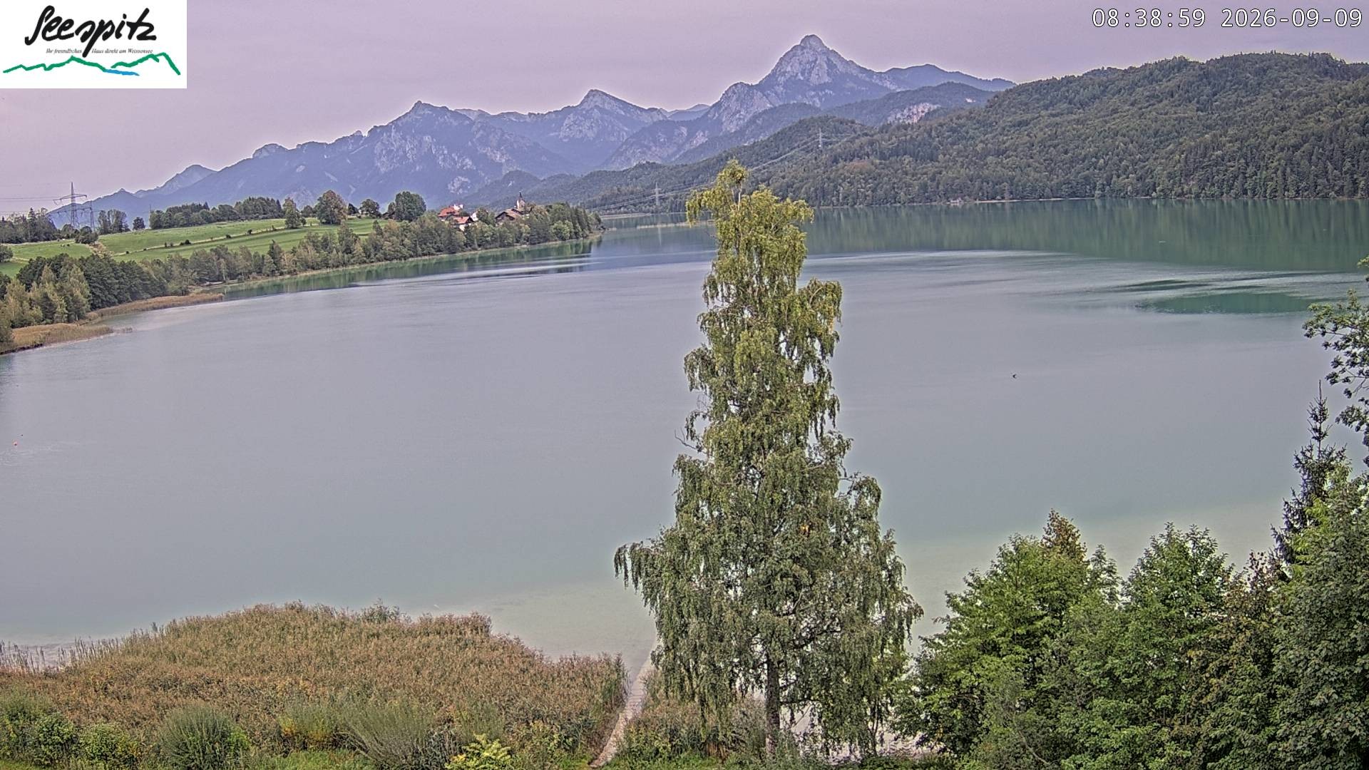 Archiv Foto Webcam Füssen: Blick auf den Weißensee vom Hotel Seespitz