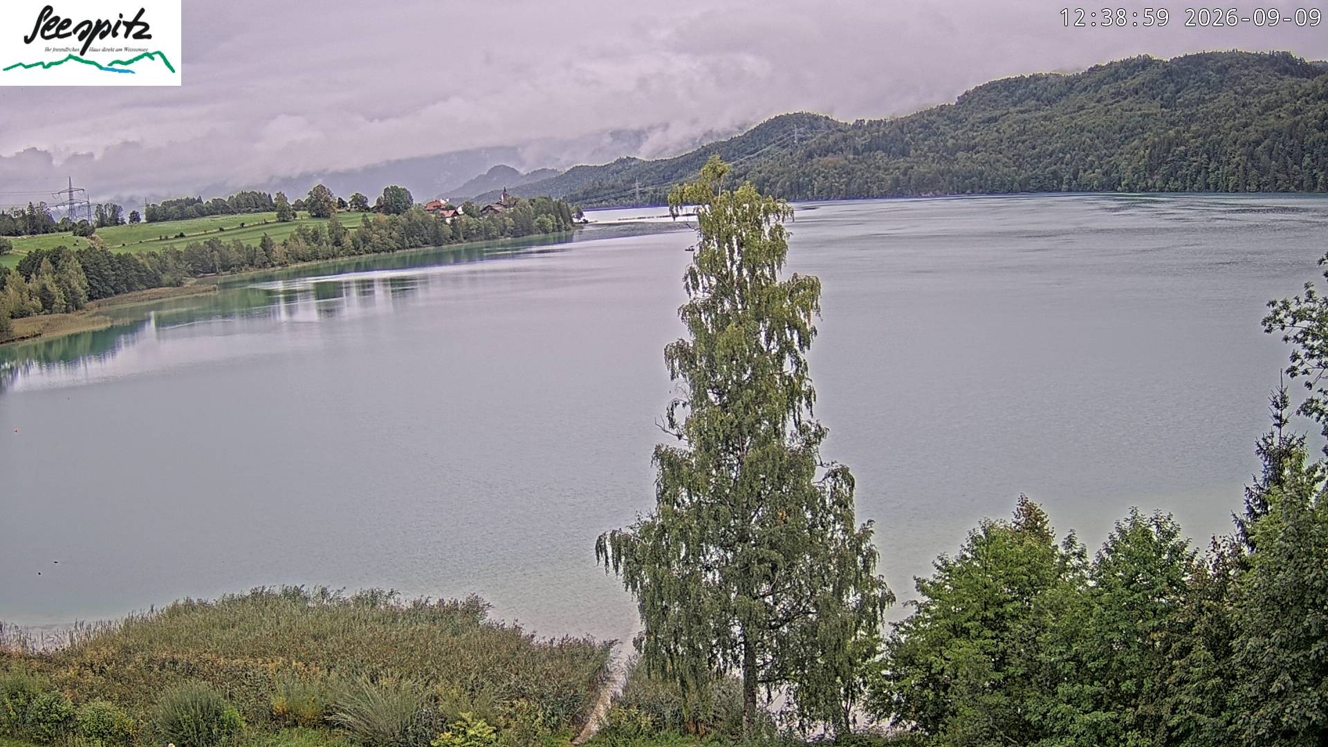 Archiv Foto Webcam Füssen: Blick auf den Weißensee vom Hotel Seespitz