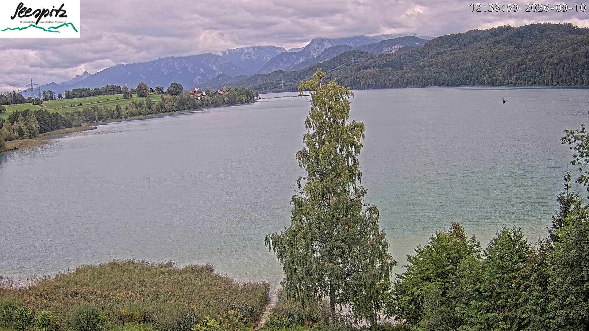 Archived image Webcam Weissensee near Füssen