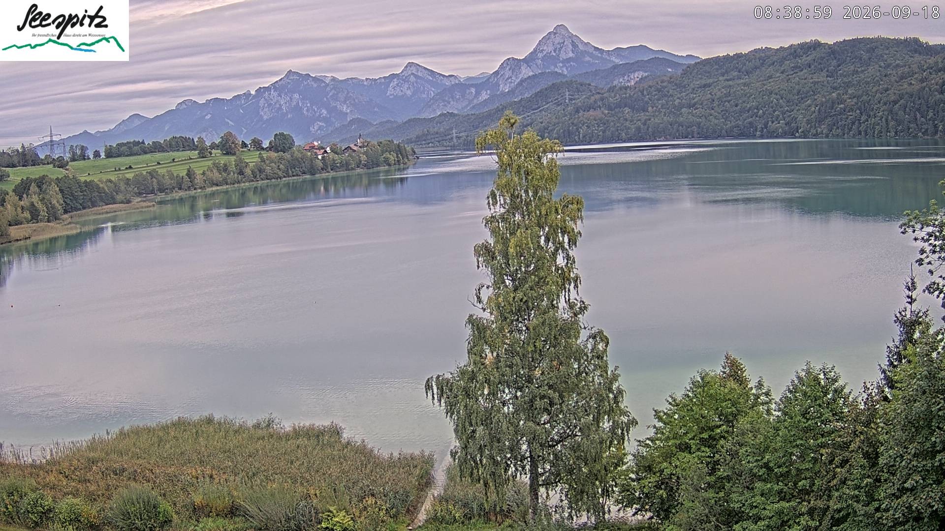 Archiv Foto Webcam Füssen: Blick auf den Weißensee vom Hotel Seespitz