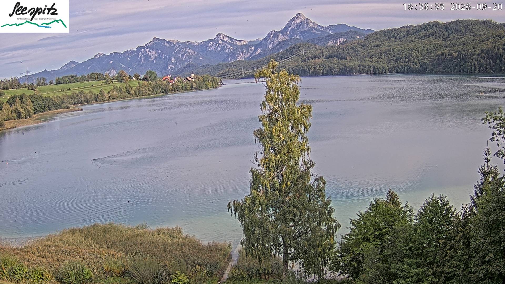 Archived image Webcam Weissensee near Füssen