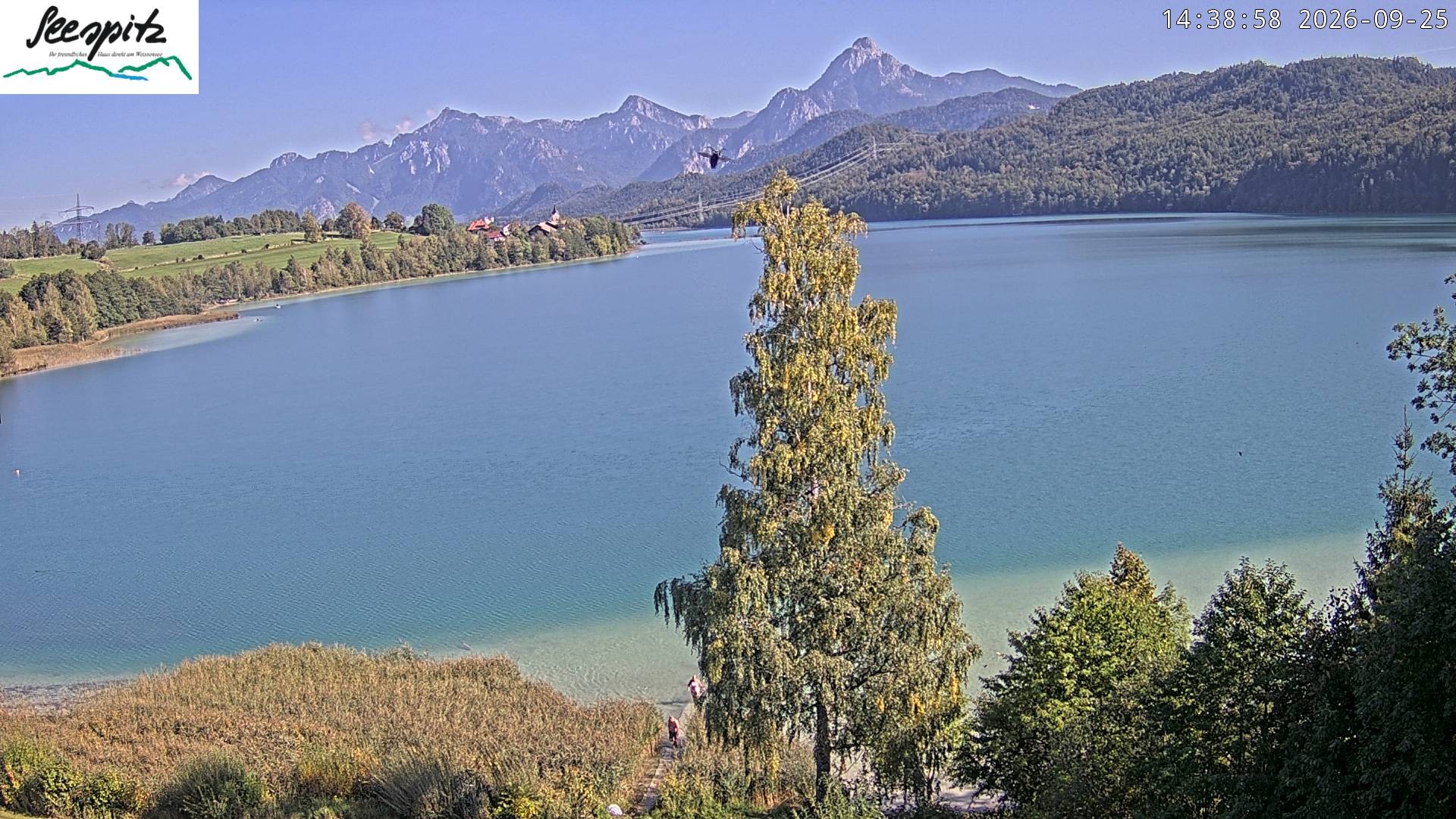 Archiv Foto Webcam Füssen: Blick auf den Weißensee vom Hotel Seespitz