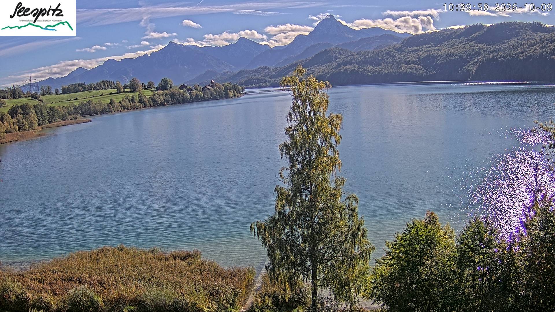 Archived image Webcam Weissensee near Füssen