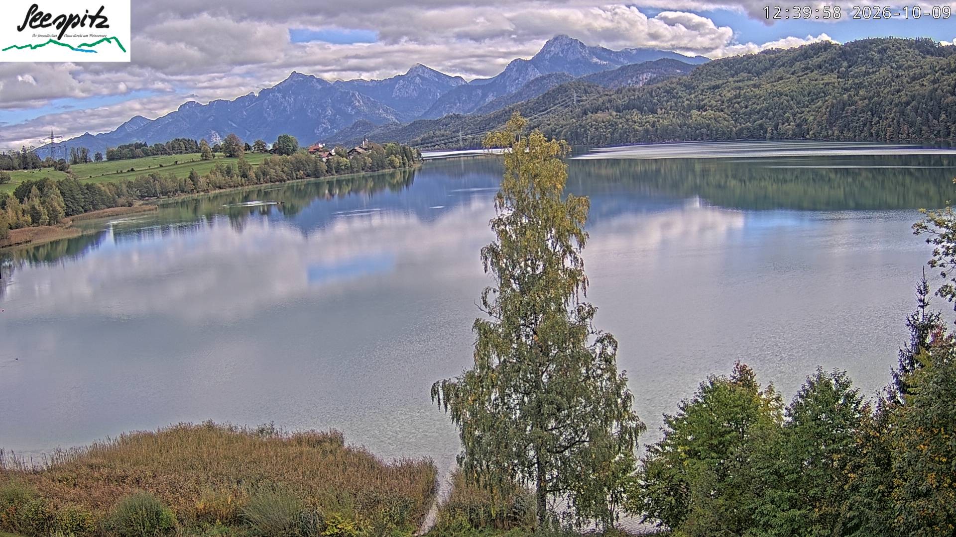 Archived image Webcam Weissensee near Füssen