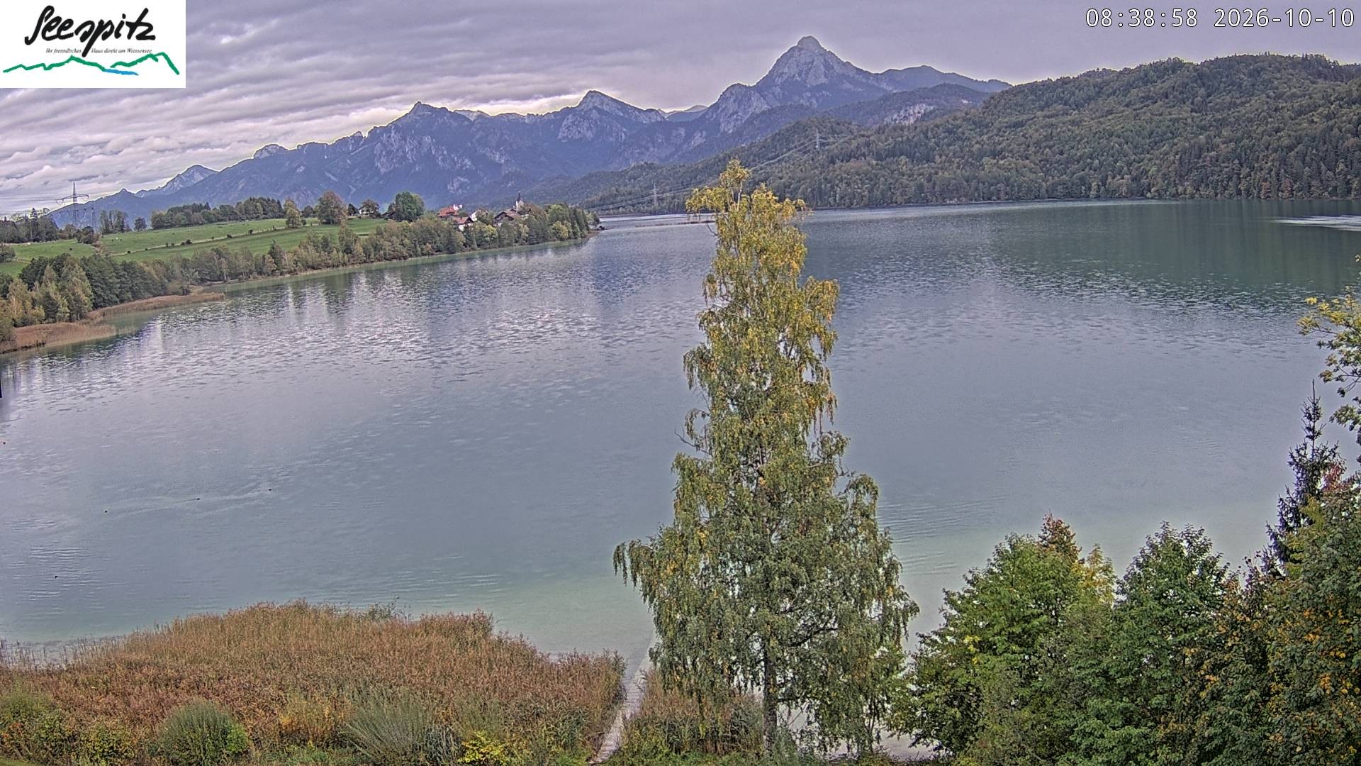 Archived image Webcam Weissensee near Füssen