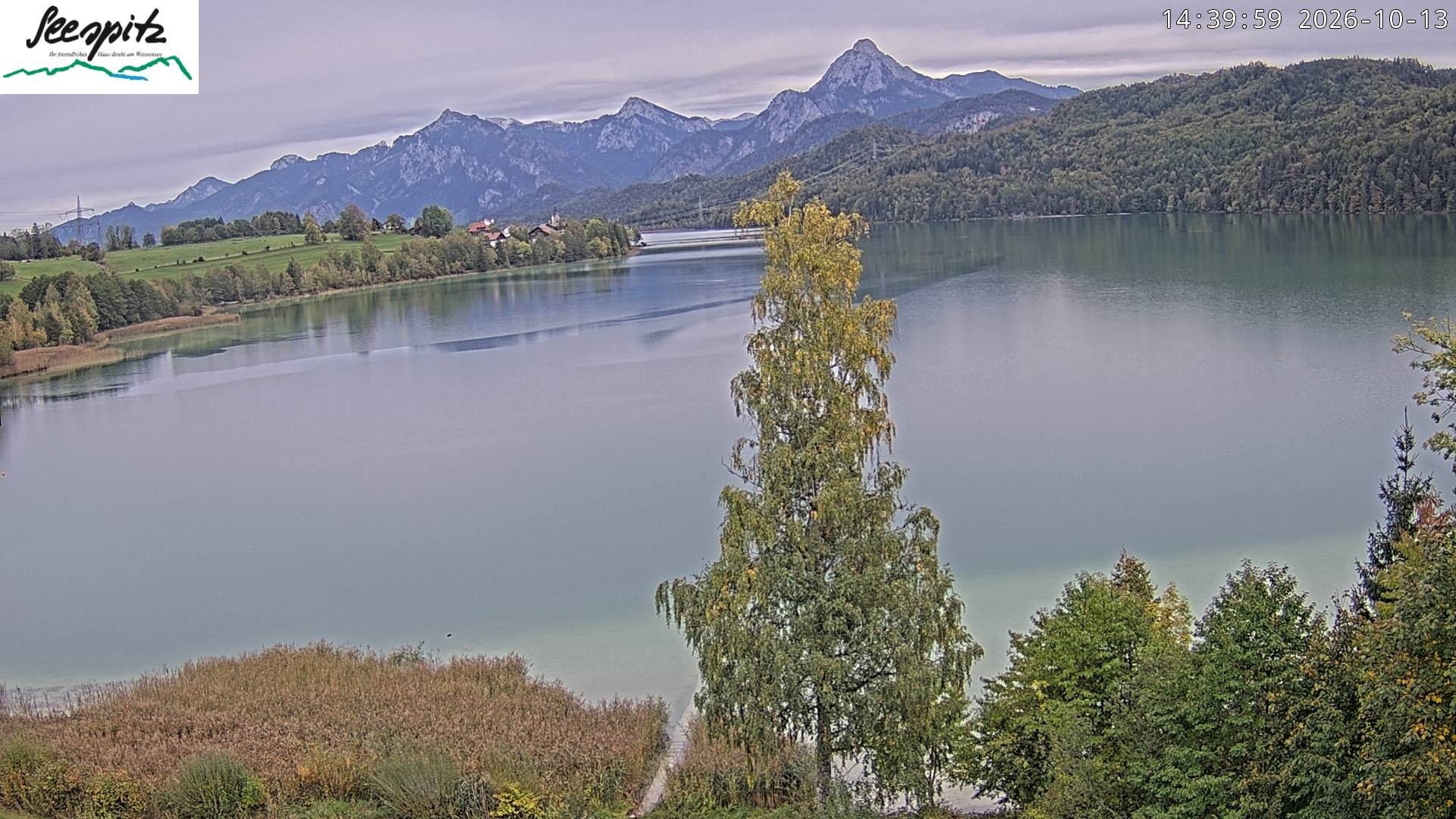 Archiv Foto Webcam Füssen: Blick auf den Weißensee vom Hotel Seespitz