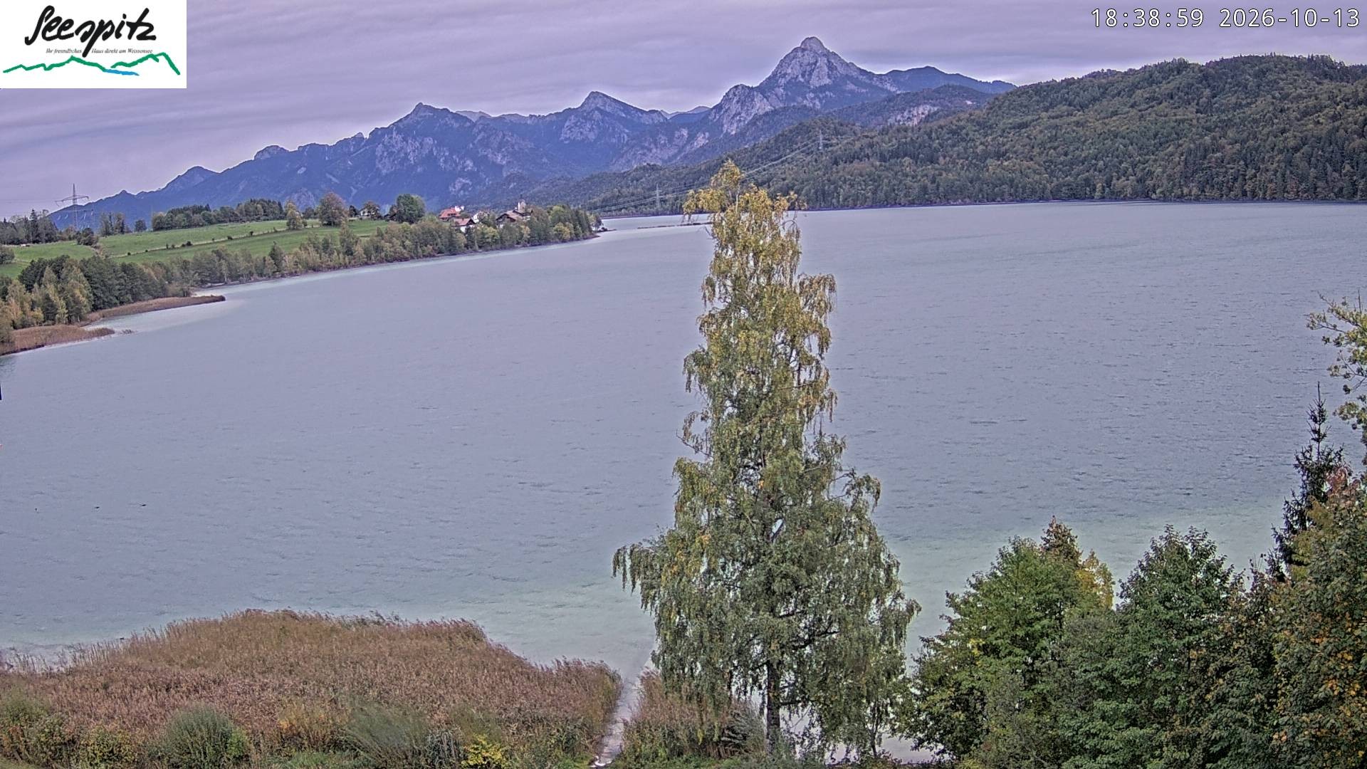 Archiv Foto Webcam Füssen: Blick auf den Weißensee vom Hotel Seespitz