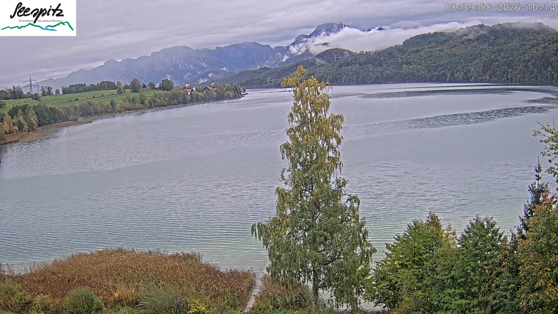 Archiv Foto Webcam Füssen: Blick auf den Weißensee vom Hotel Seespitz