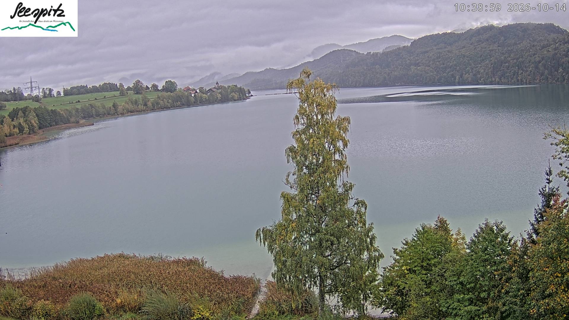 Archiv Foto Webcam Füssen: Blick auf den Weißensee vom Hotel Seespitz