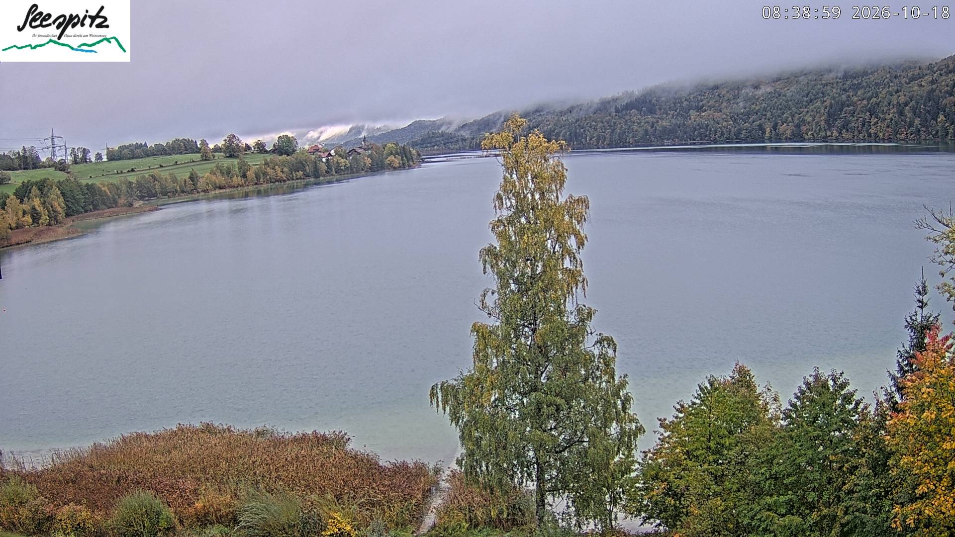 Archiv Foto Webcam Füssen: Blick auf den Weißensee vom Hotel Seespitz