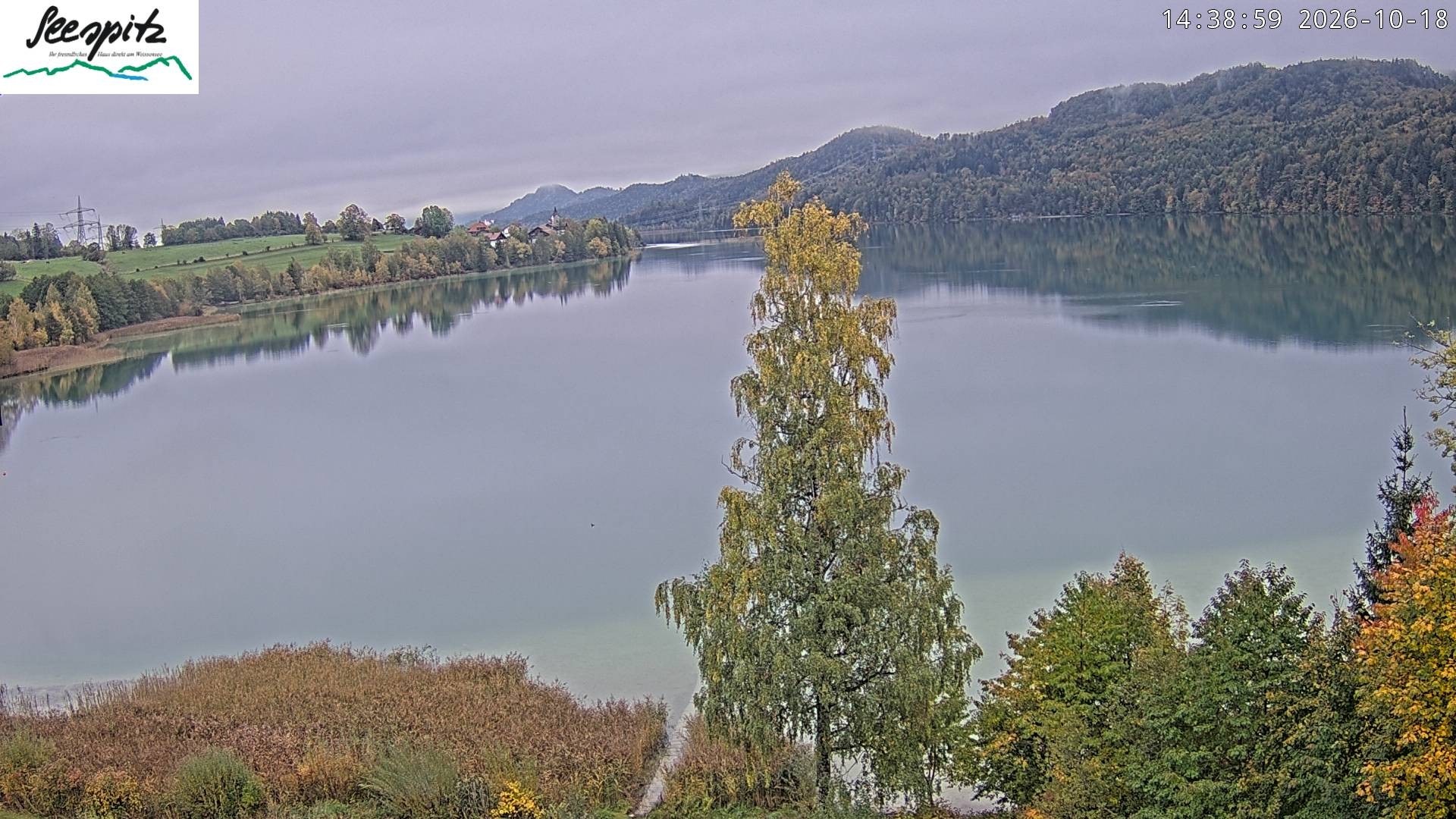 Archiv Foto Webcam Füssen: Blick auf den Weißensee vom Hotel Seespitz